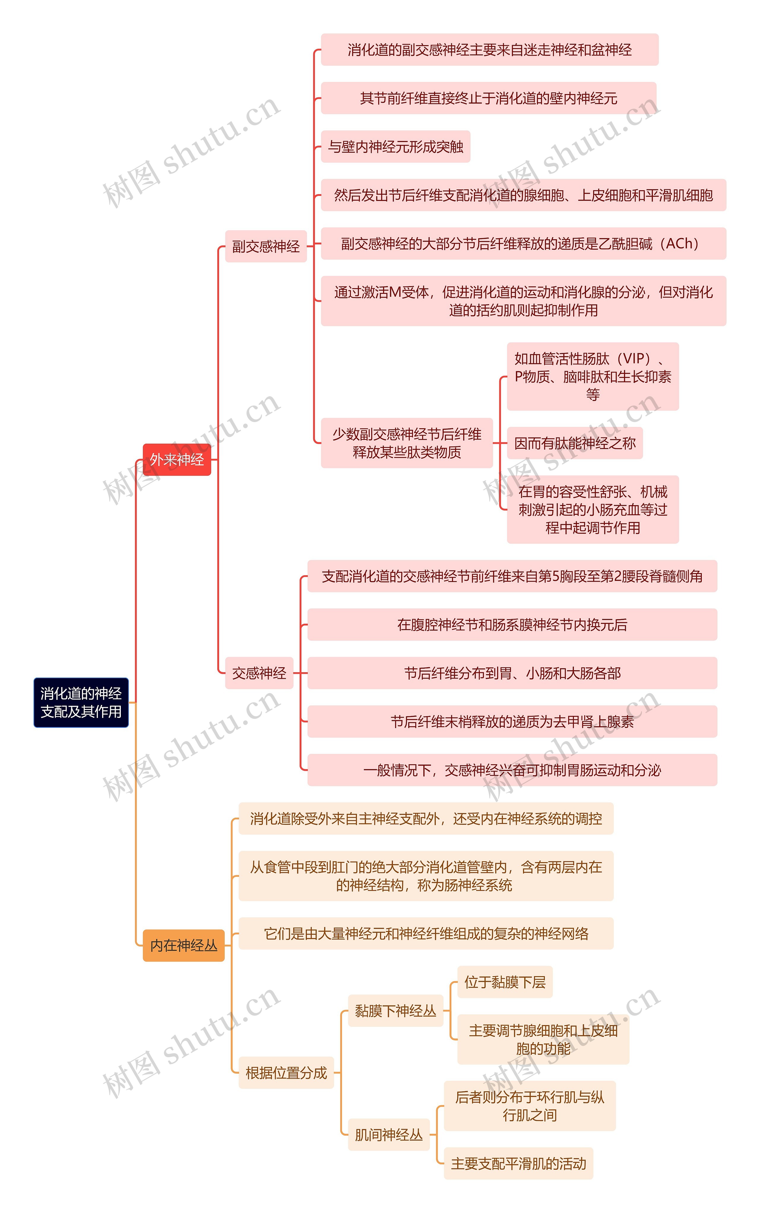 医学知识消化道的神经支配及其作用思维导图