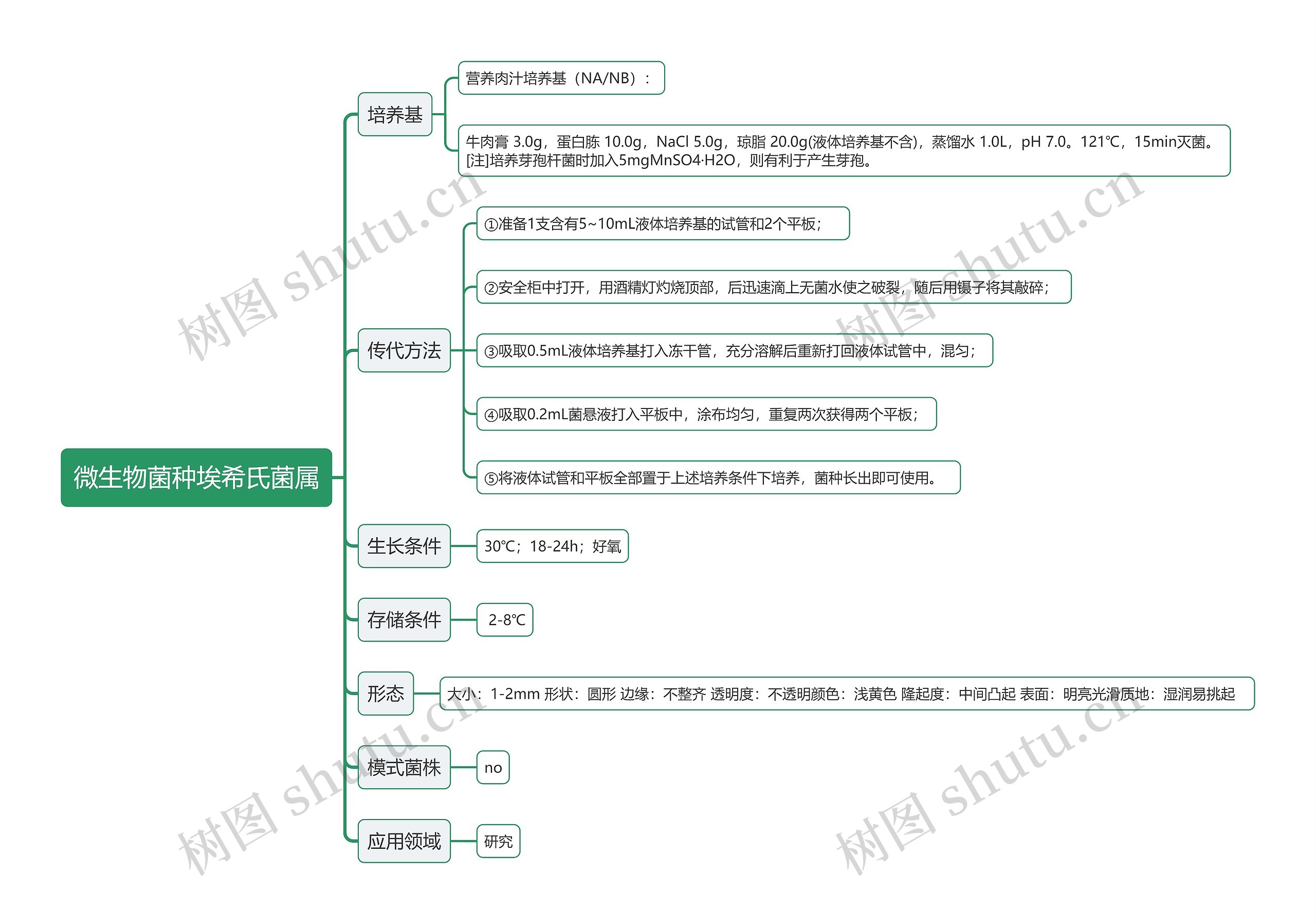 微生物菌种埃希氏菌属思维导图