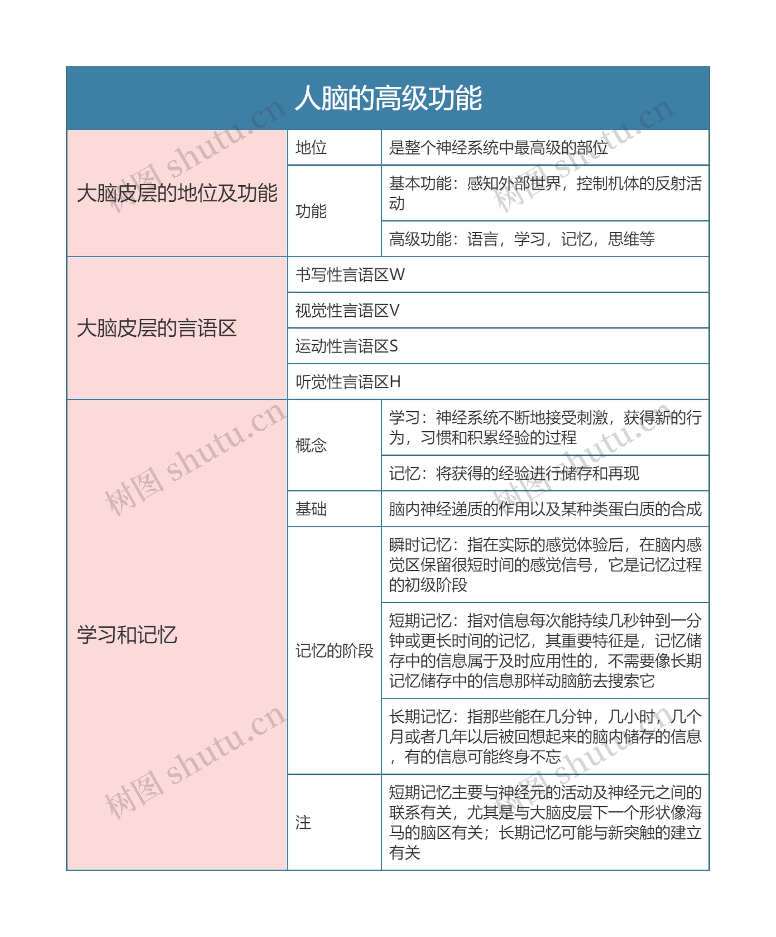 高中生物必修三人脑的高级功能思维导图