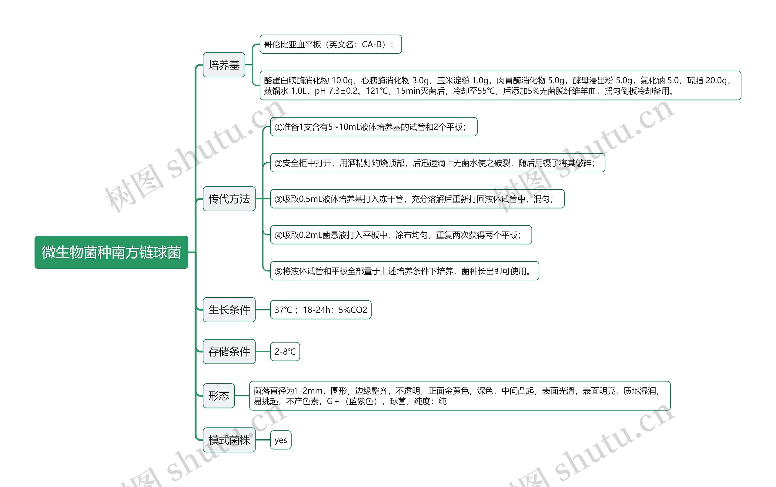 微生物菌种南方链球菌思维导图