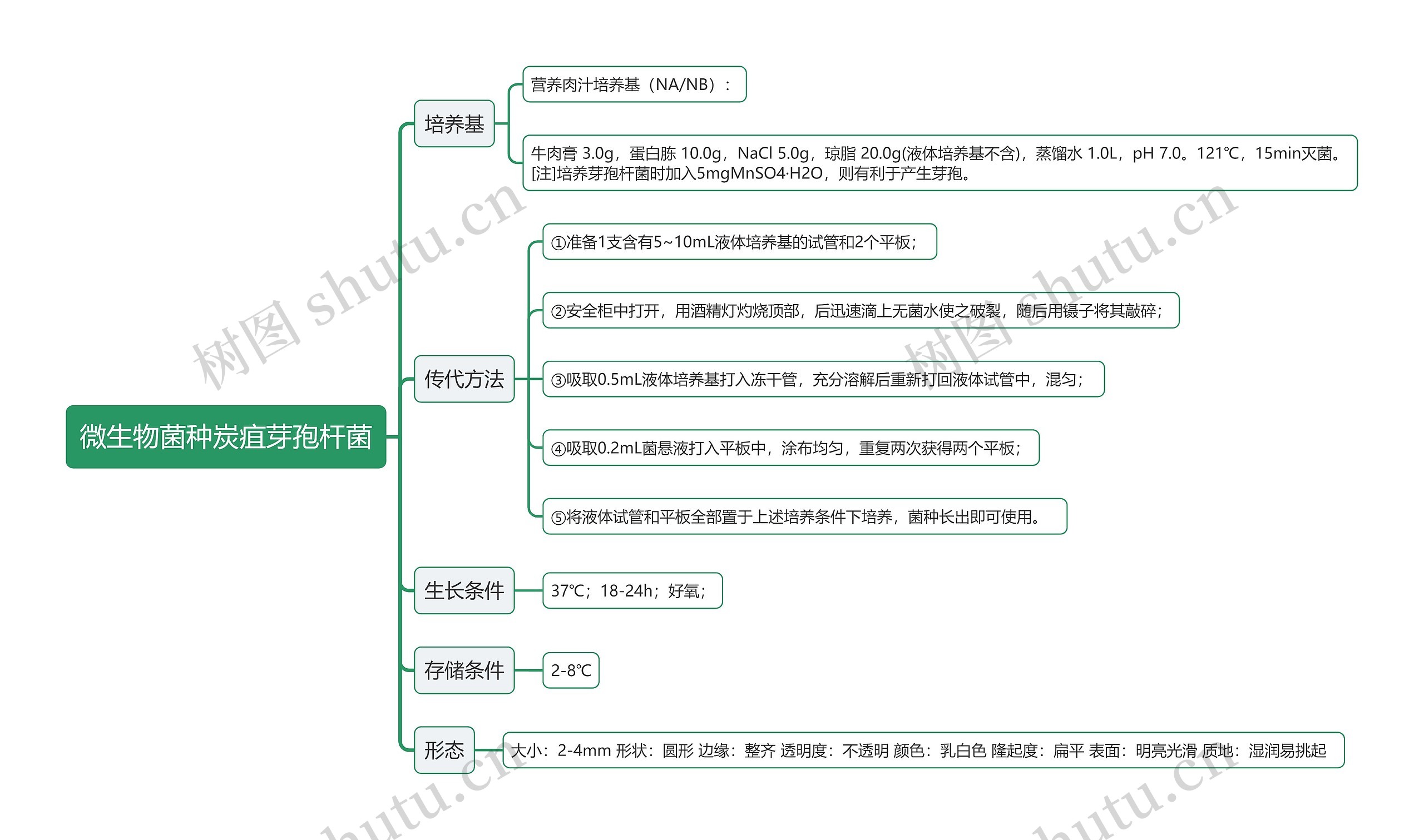 微生物菌种炭疽芽孢杆菌思维导图