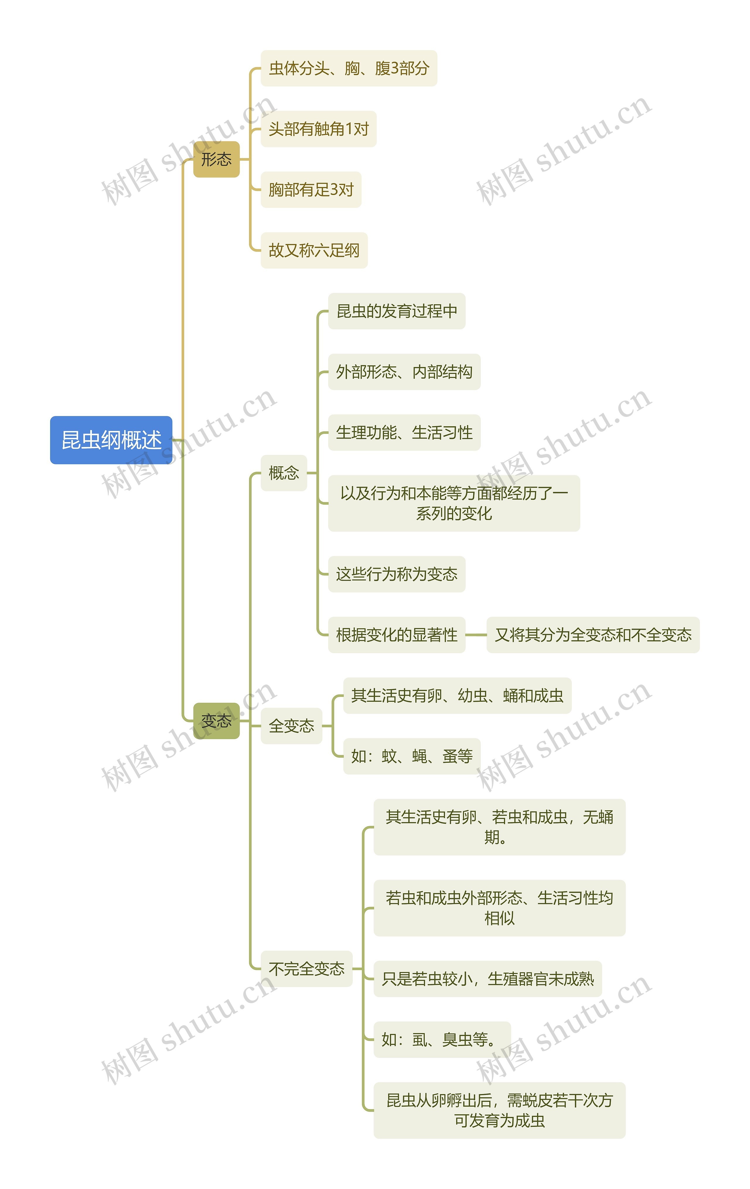 医学知识昆虫纲概述思维导图