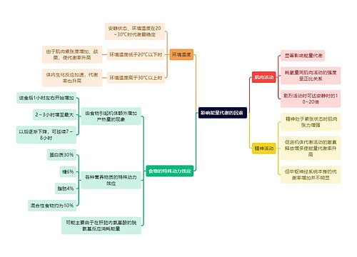 医学知识影响能量代谢的因素 思维导图