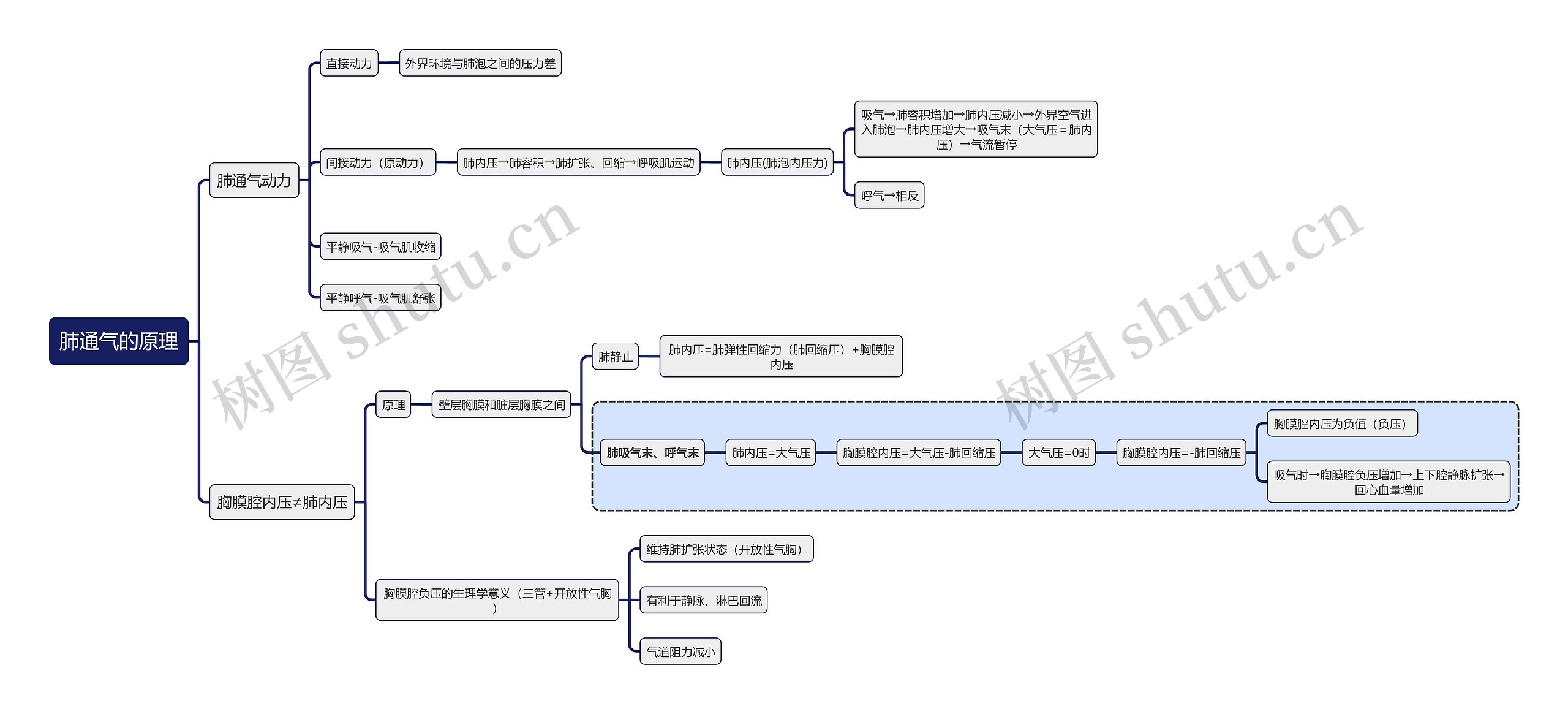 医学知识肺通气的原理思维导图