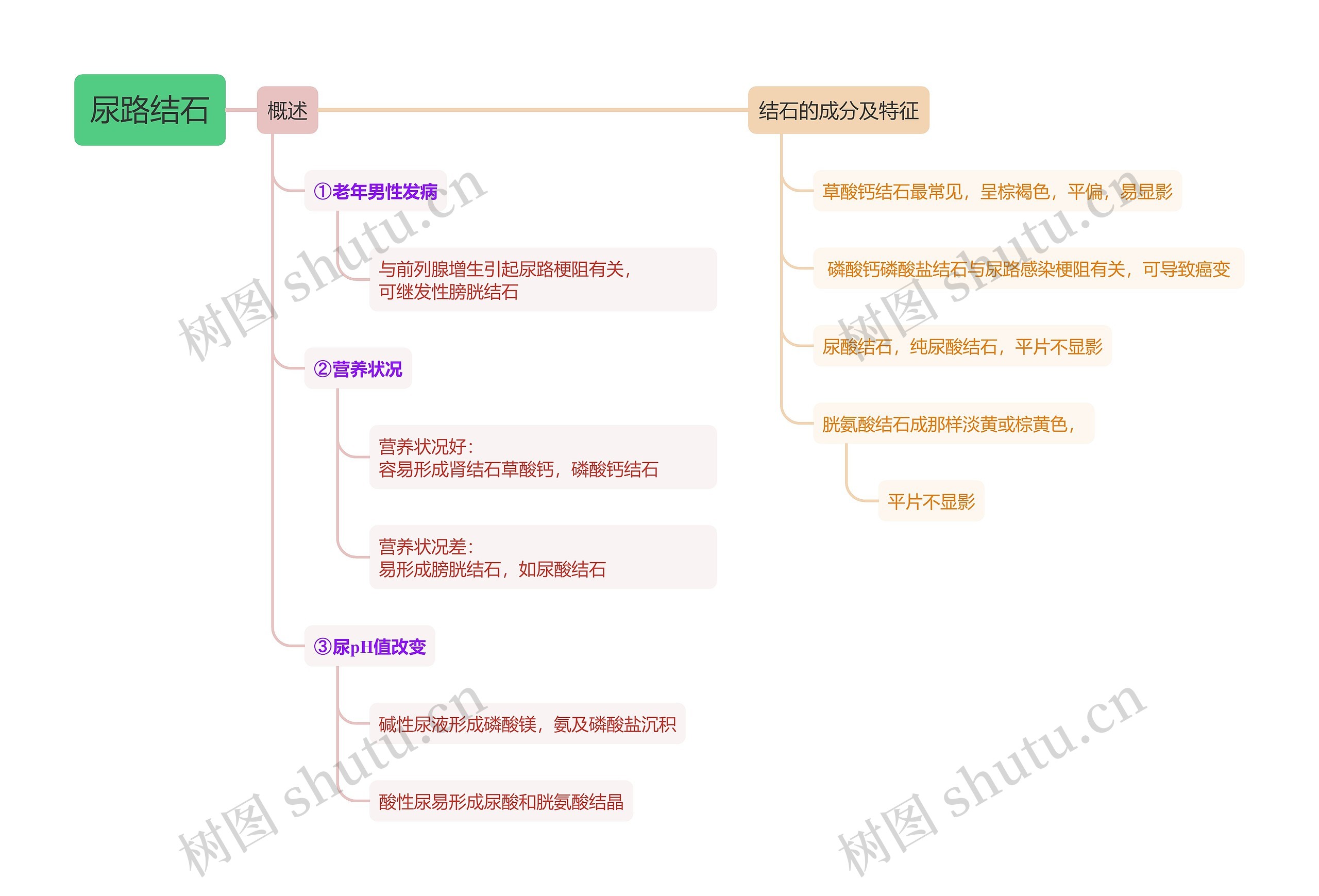 内科知识尿路结石思维导图