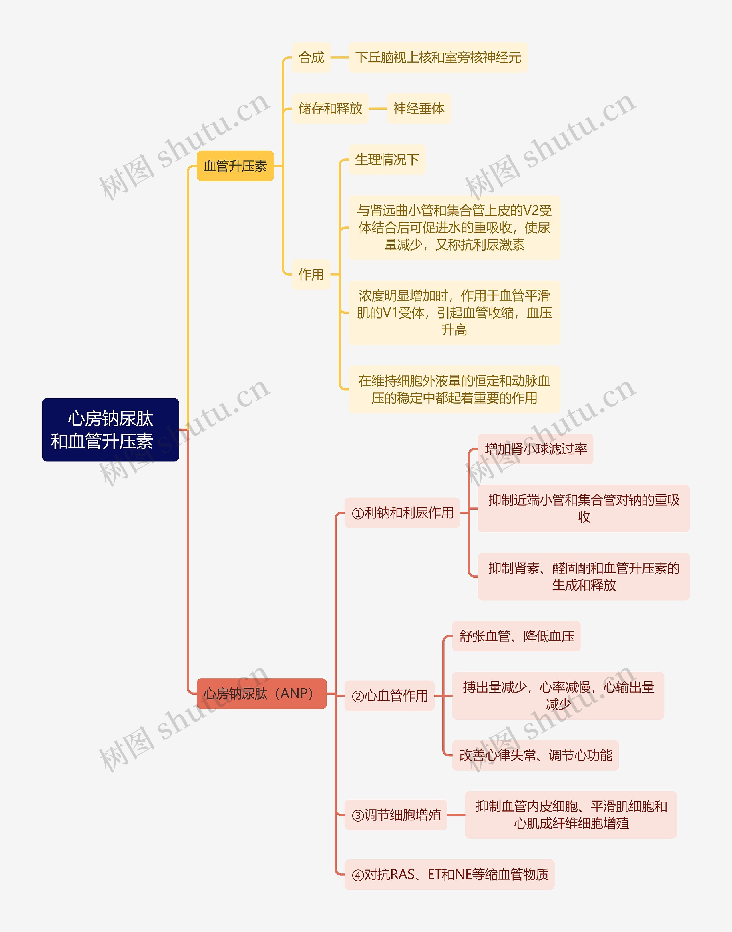 医学知识心房钠尿肽和血管升压素思维导图