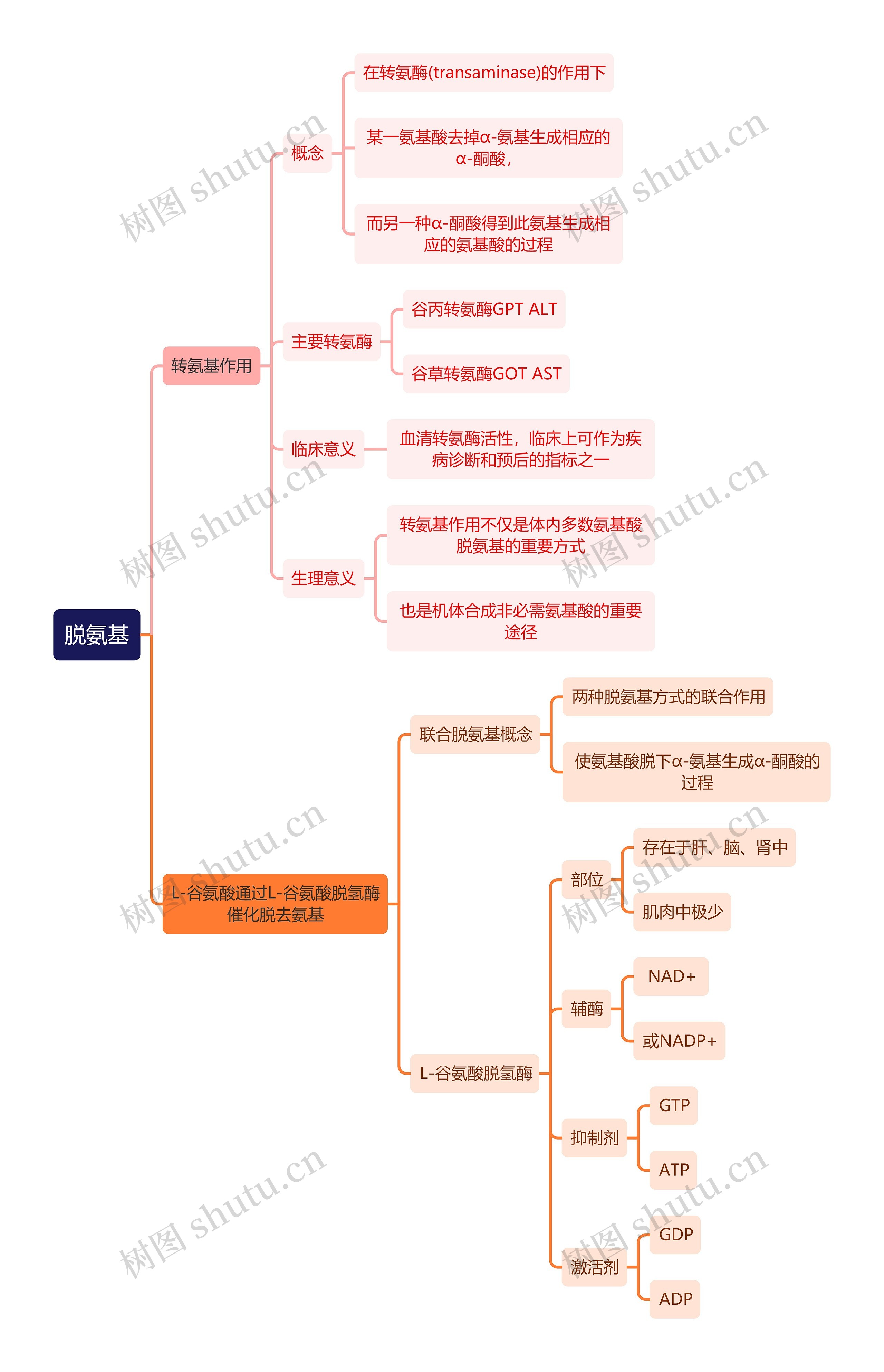 生化知识脱氨基思维导图