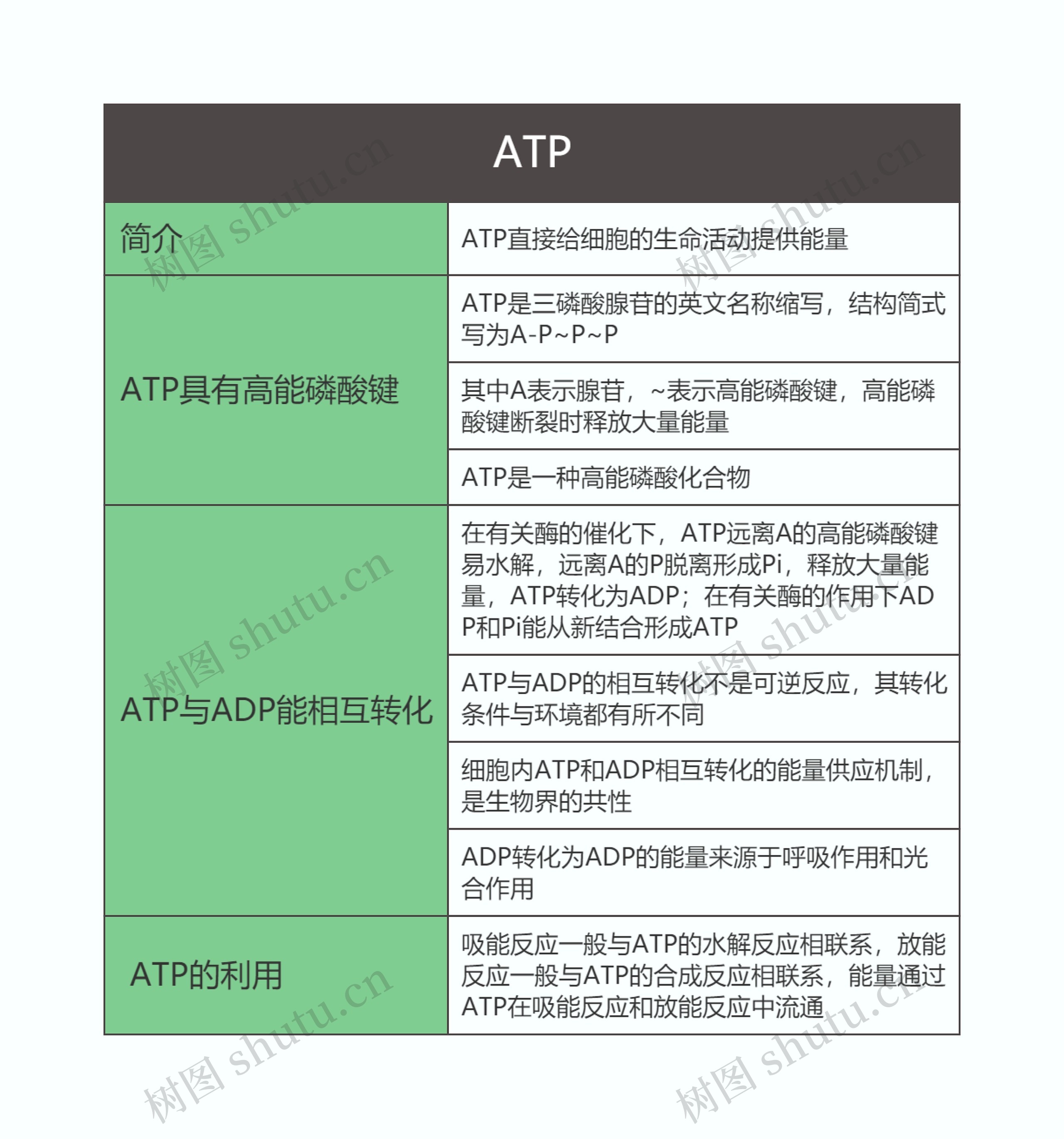 高中生物必修一第五单元ATP思维导图