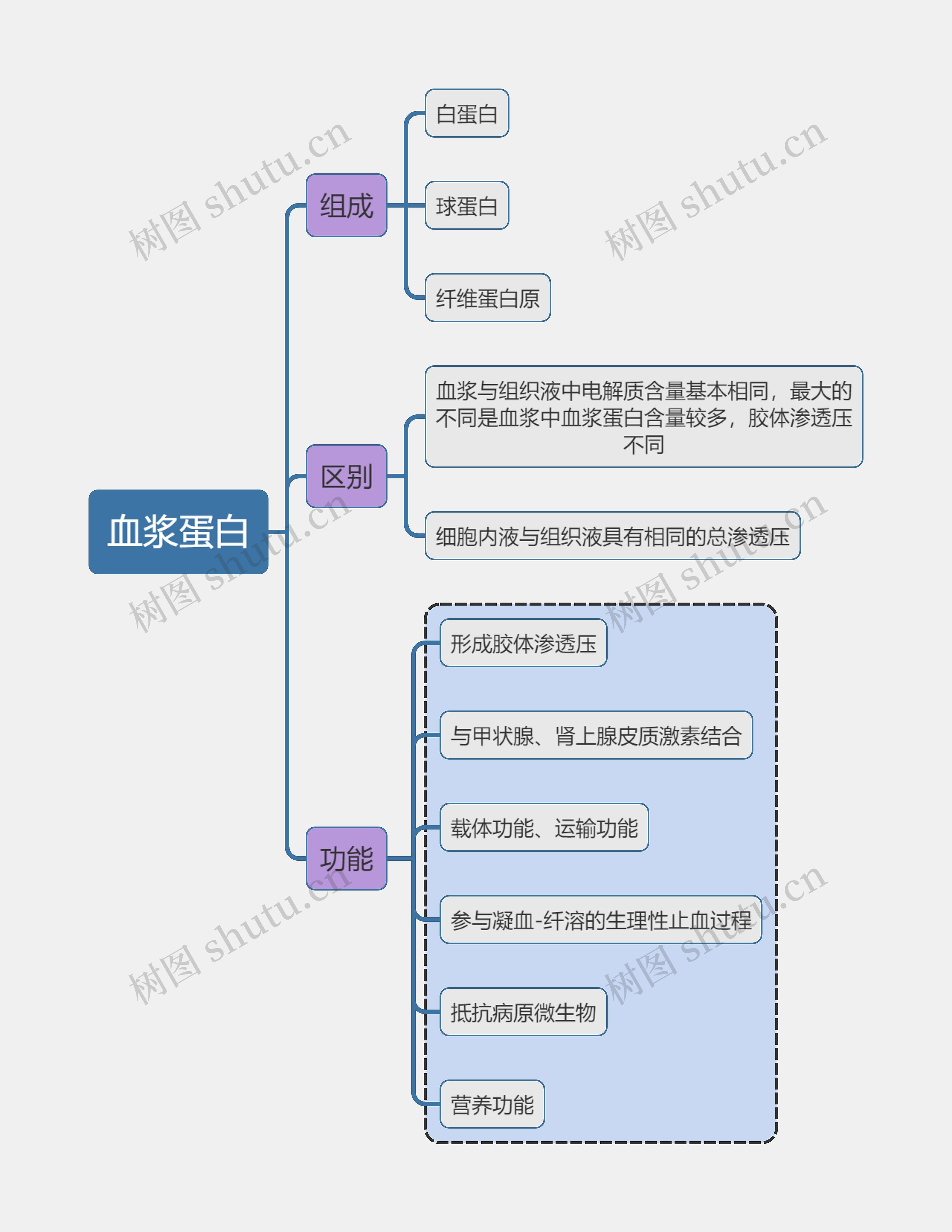 医学知识血浆蛋白思维导图