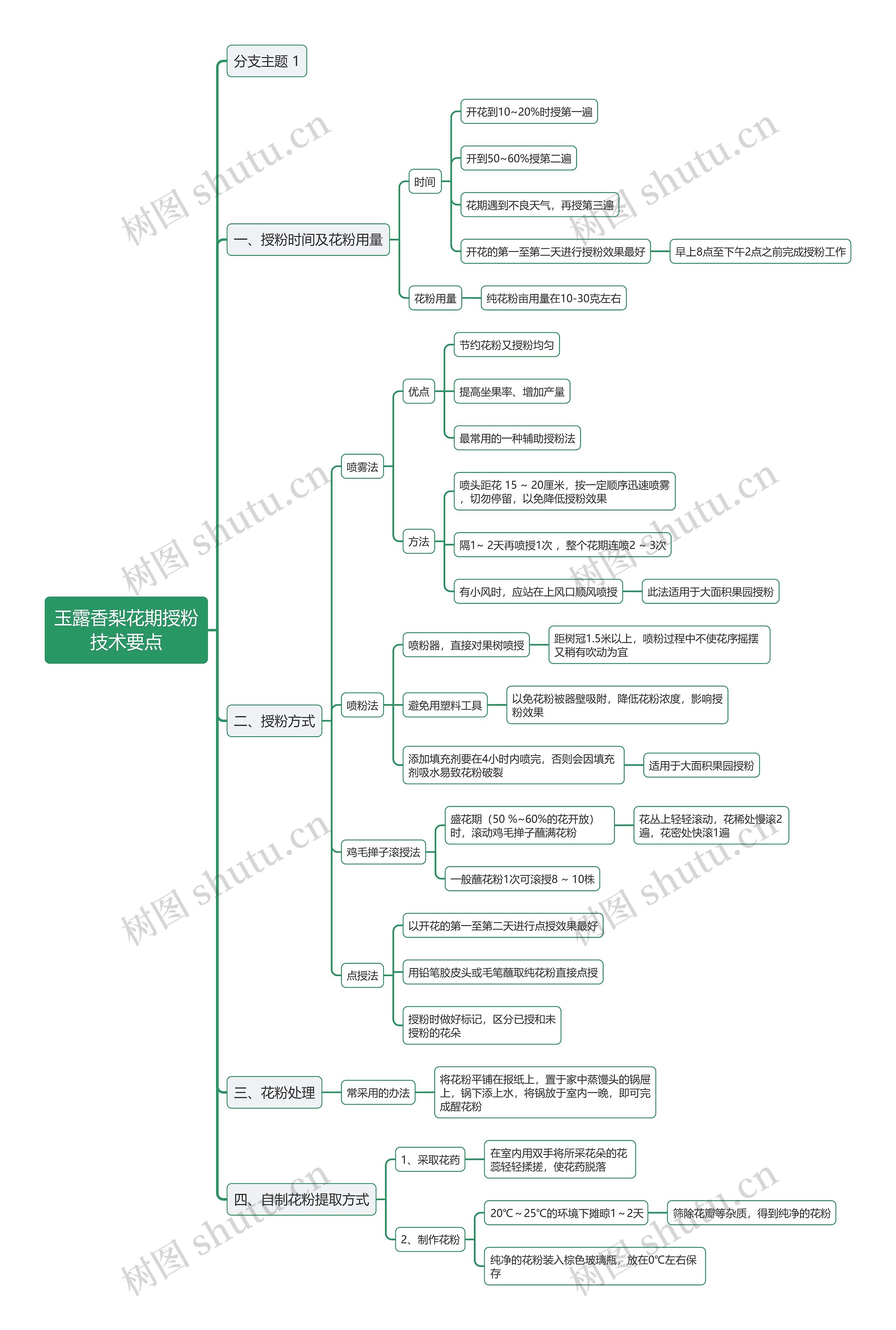 玉露香梨花期授粉技术要点思维导图