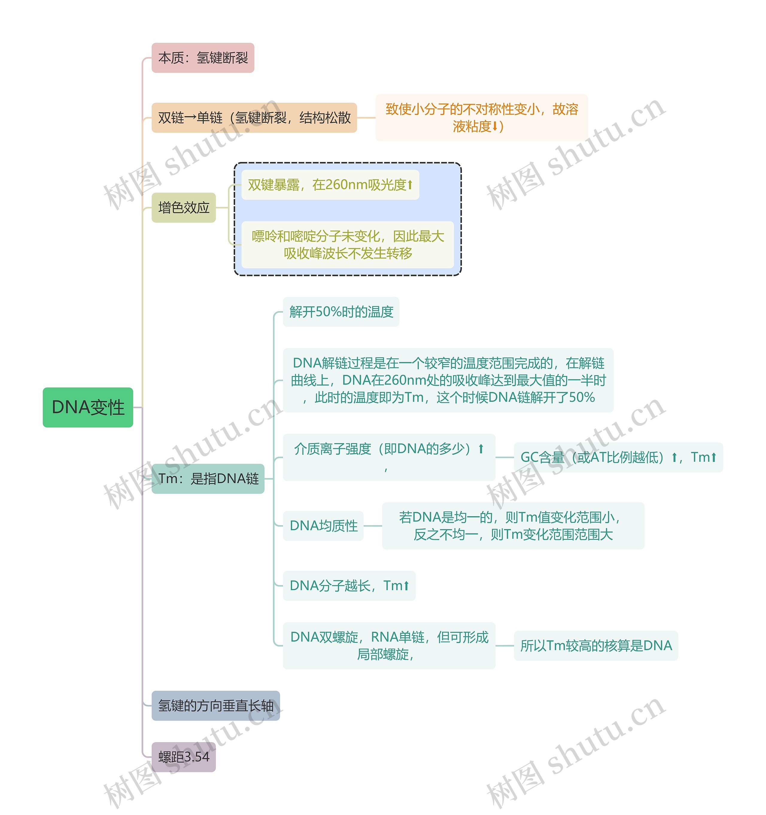 生化-DNA变性-思维导图