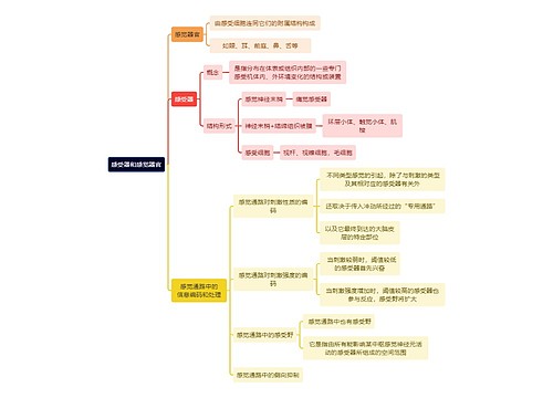 医学知识感受器和感觉器官思维导图