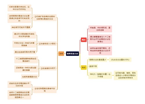 医学知识肠期胃液分泌思维导图