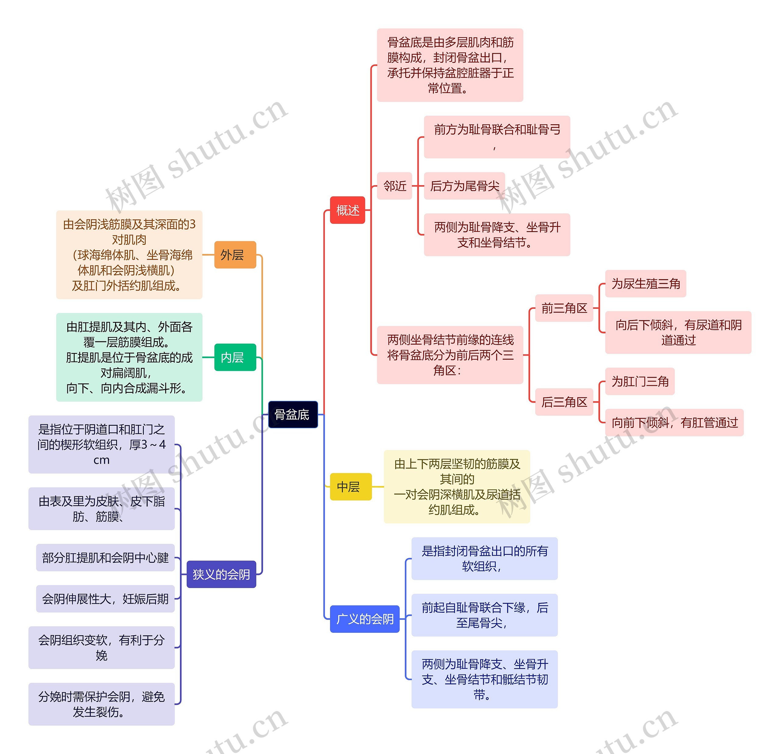 医学知识骨盆底 思维导图