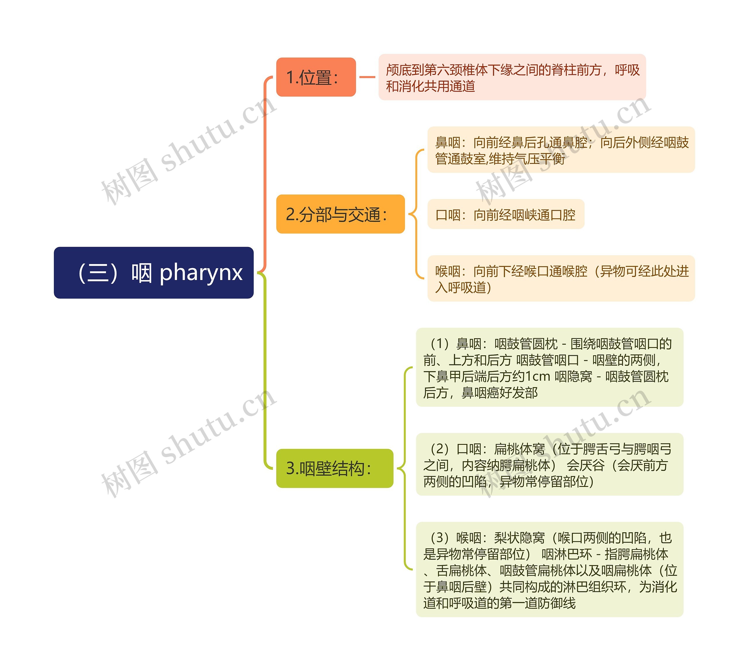 （三）咽 pharynx思维导图