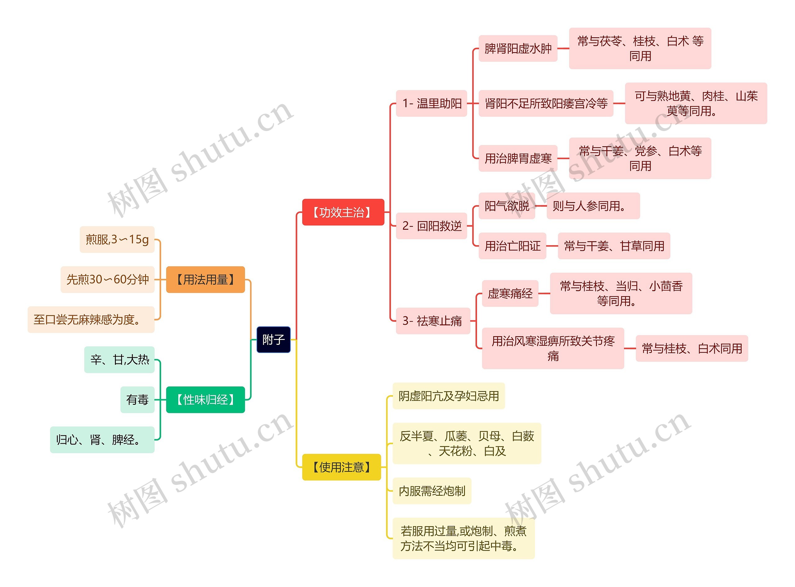 中医知识附子思维导图