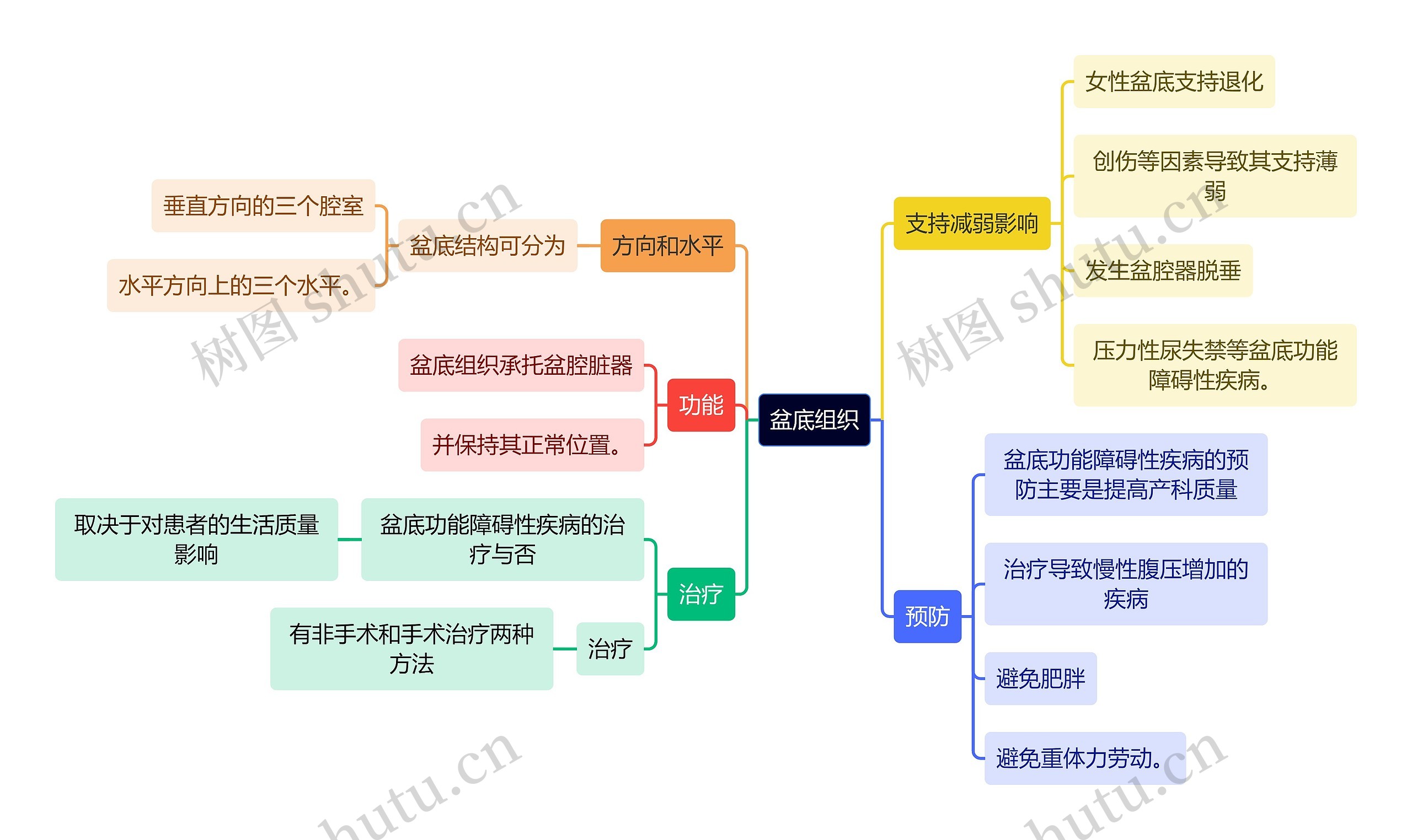 医学知识盆底组织思维导图