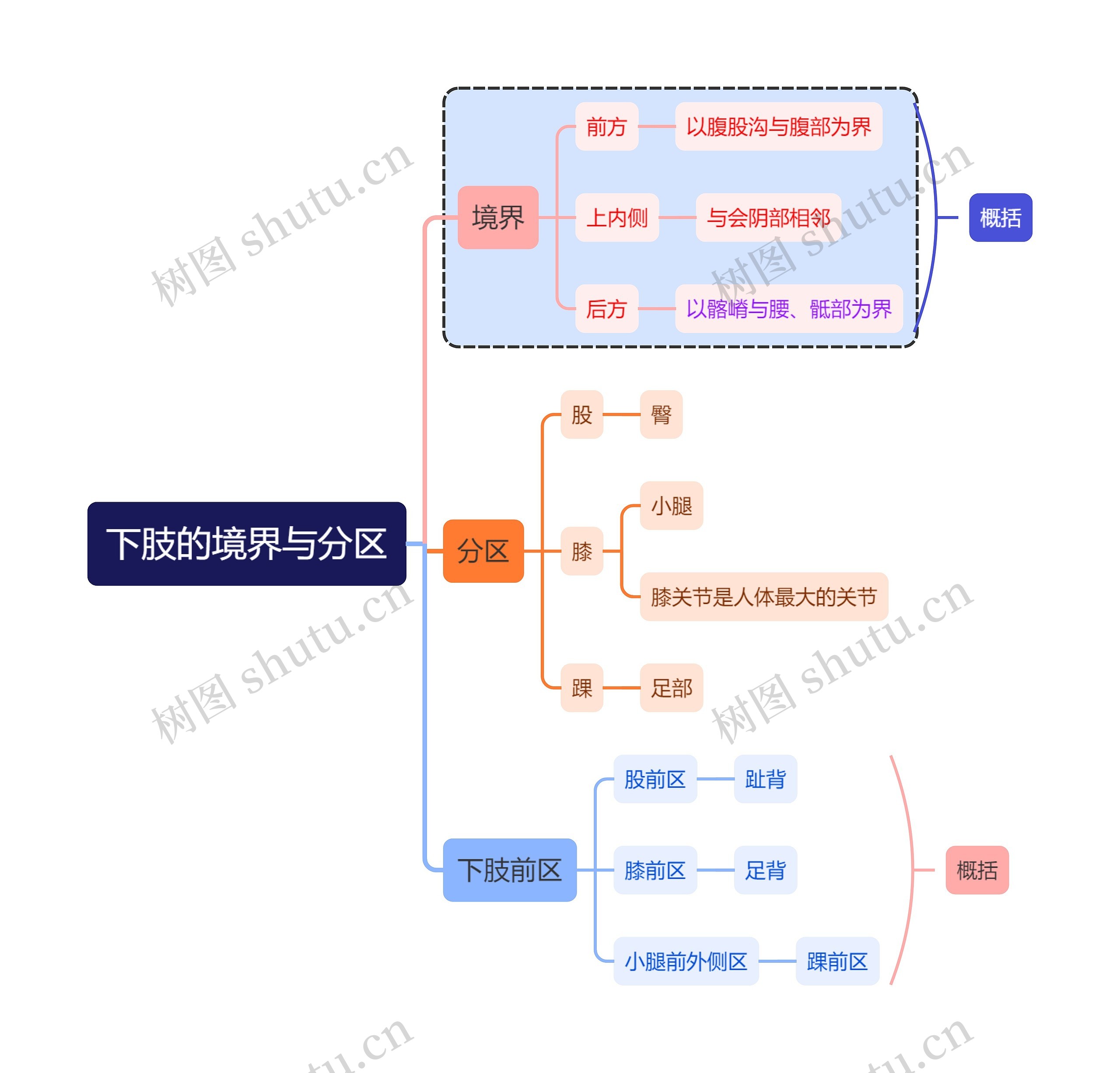 医学下肢的境界与分区思维导图高清图 医学下肢的境界与分区思维导图
