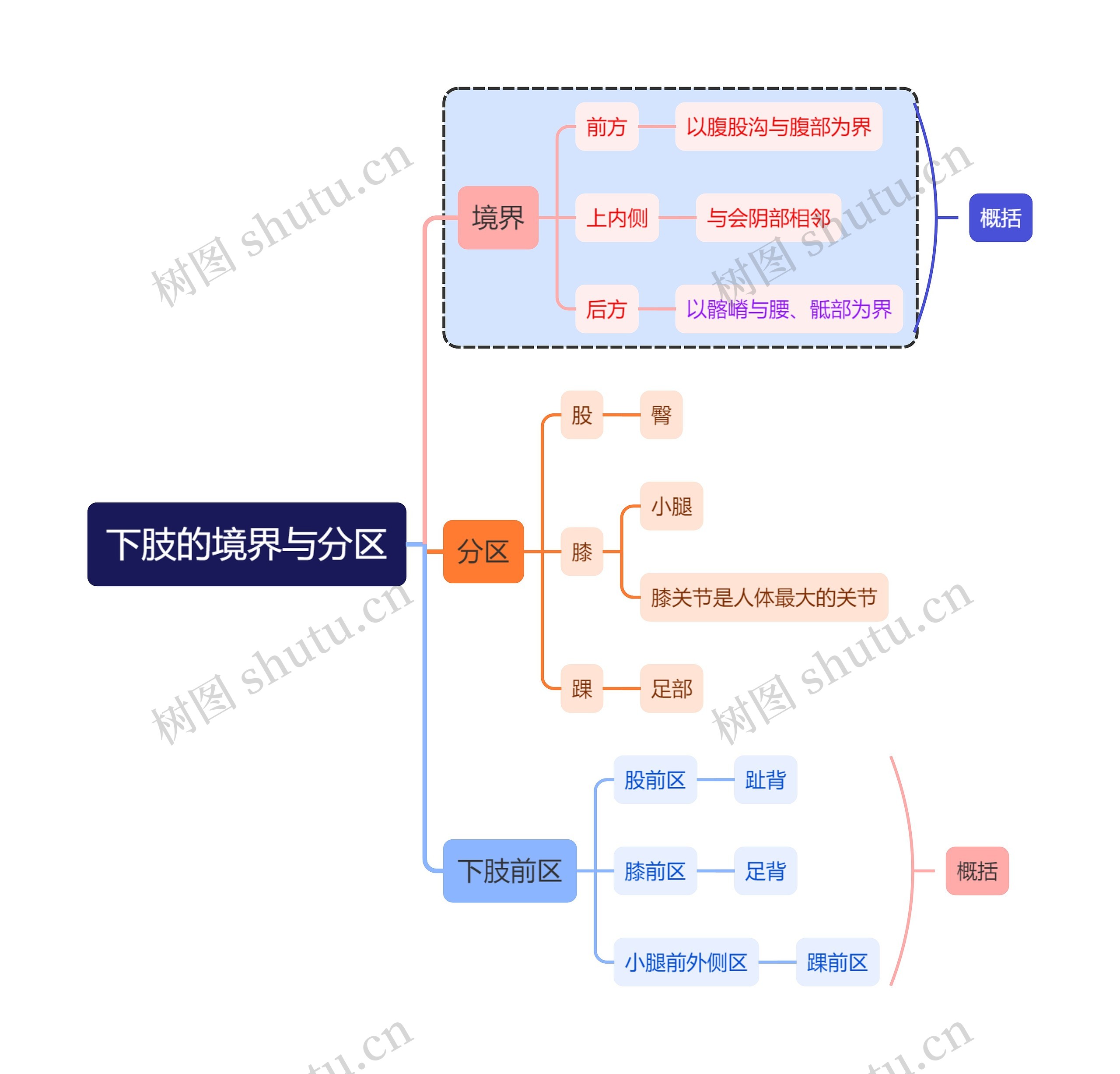 医学下肢的境界与分区思维导图