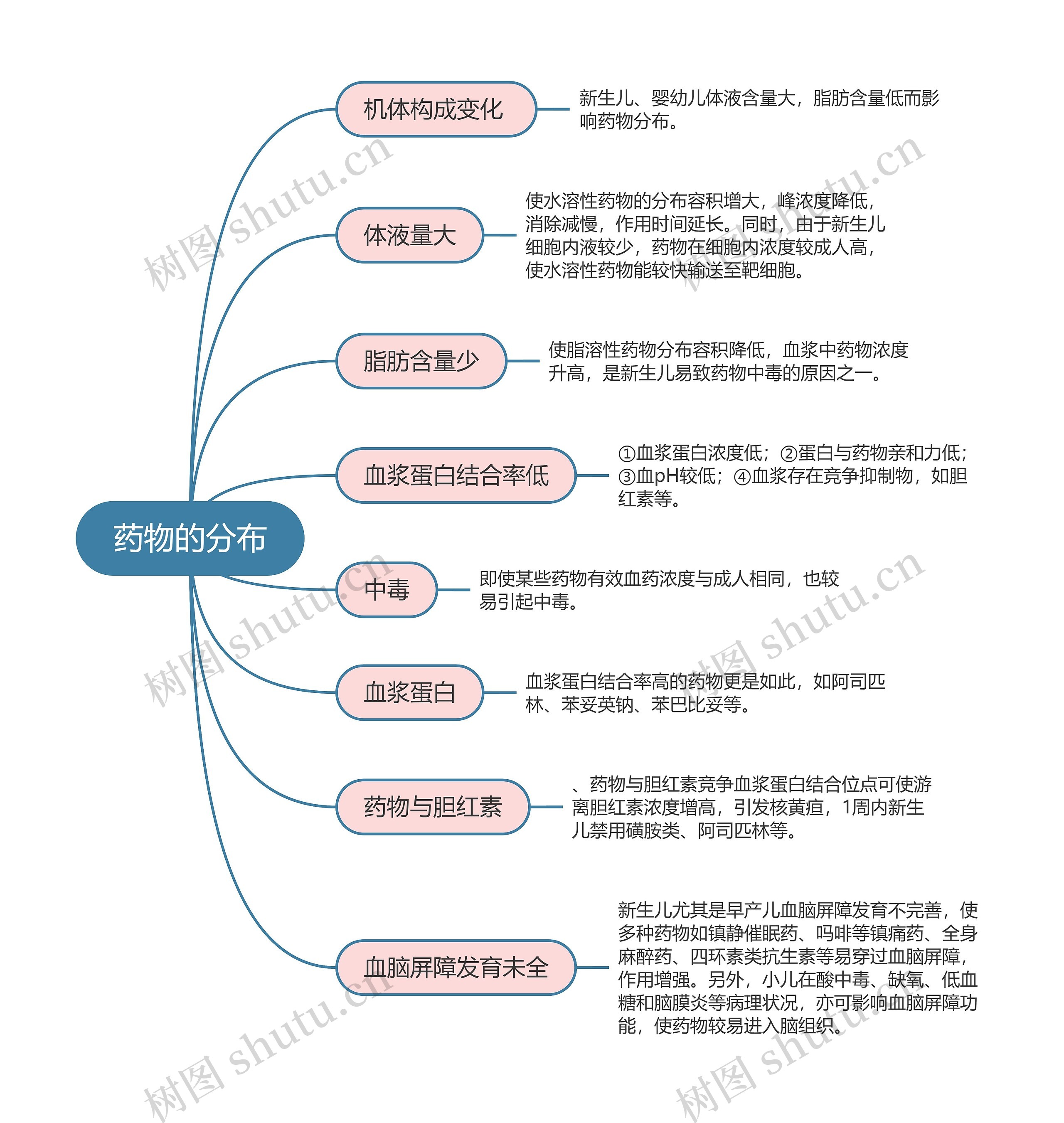 药理学  药物的分布思维导图