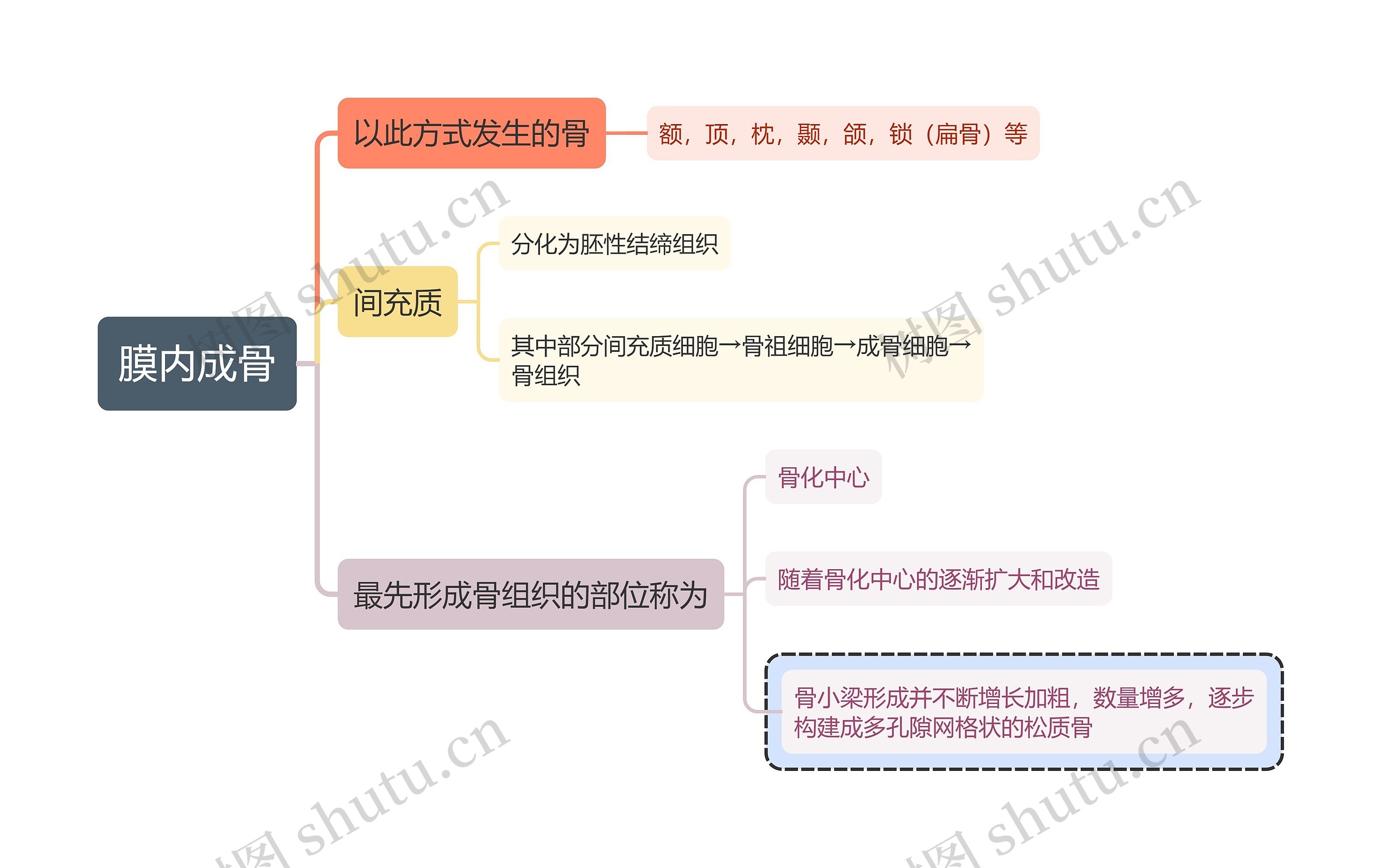 医学知识膜内成骨思维导图