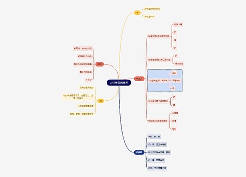 人体所需的营养思维导图
