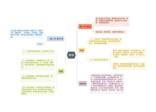 骨学思维导图