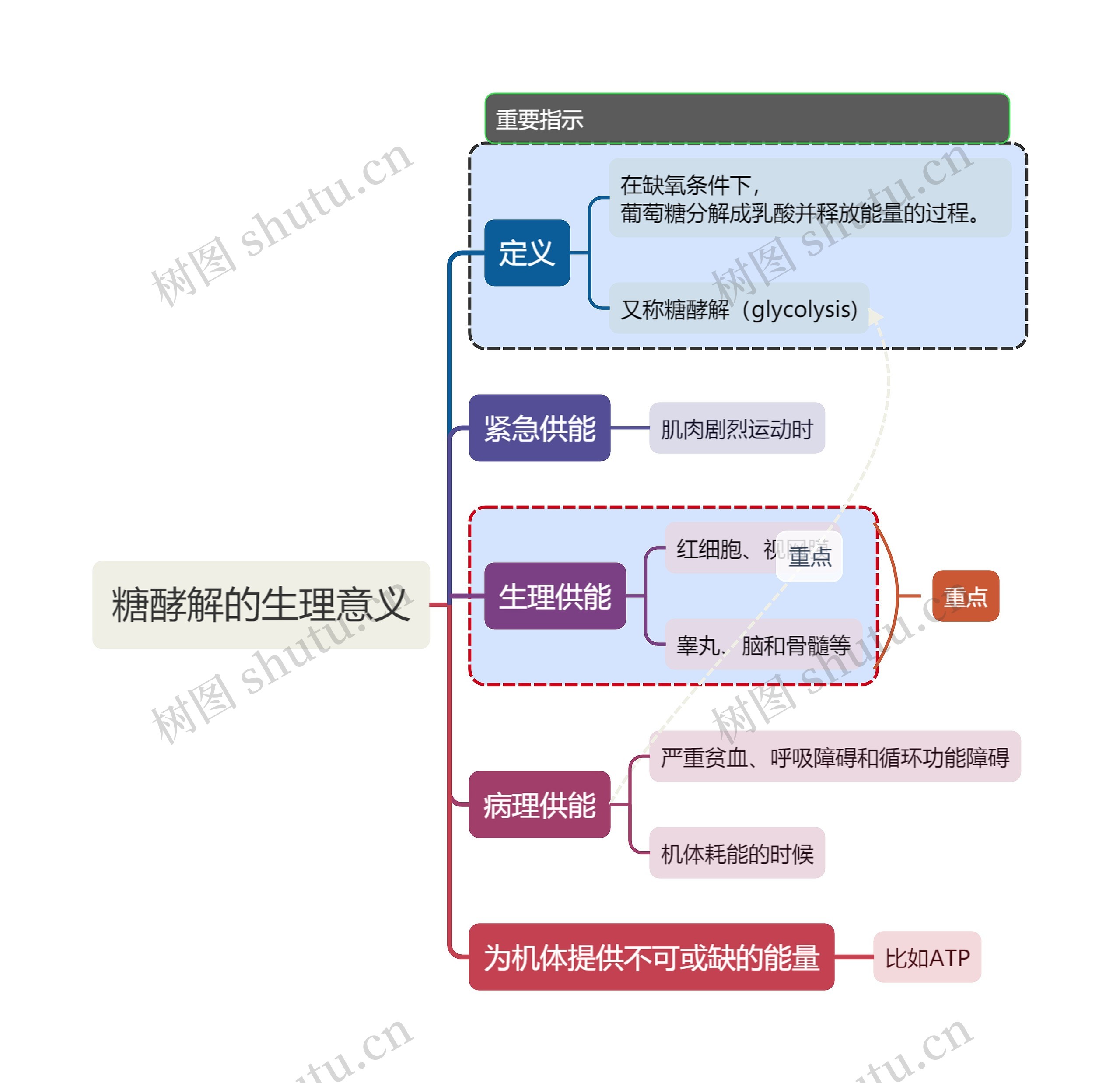 医学知识糖酵解的生理意义思维导图