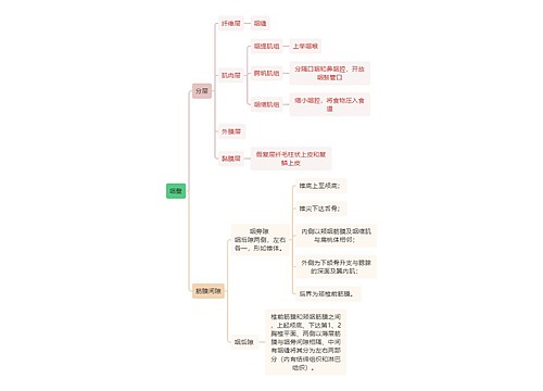 医学知识咽壁思维导图