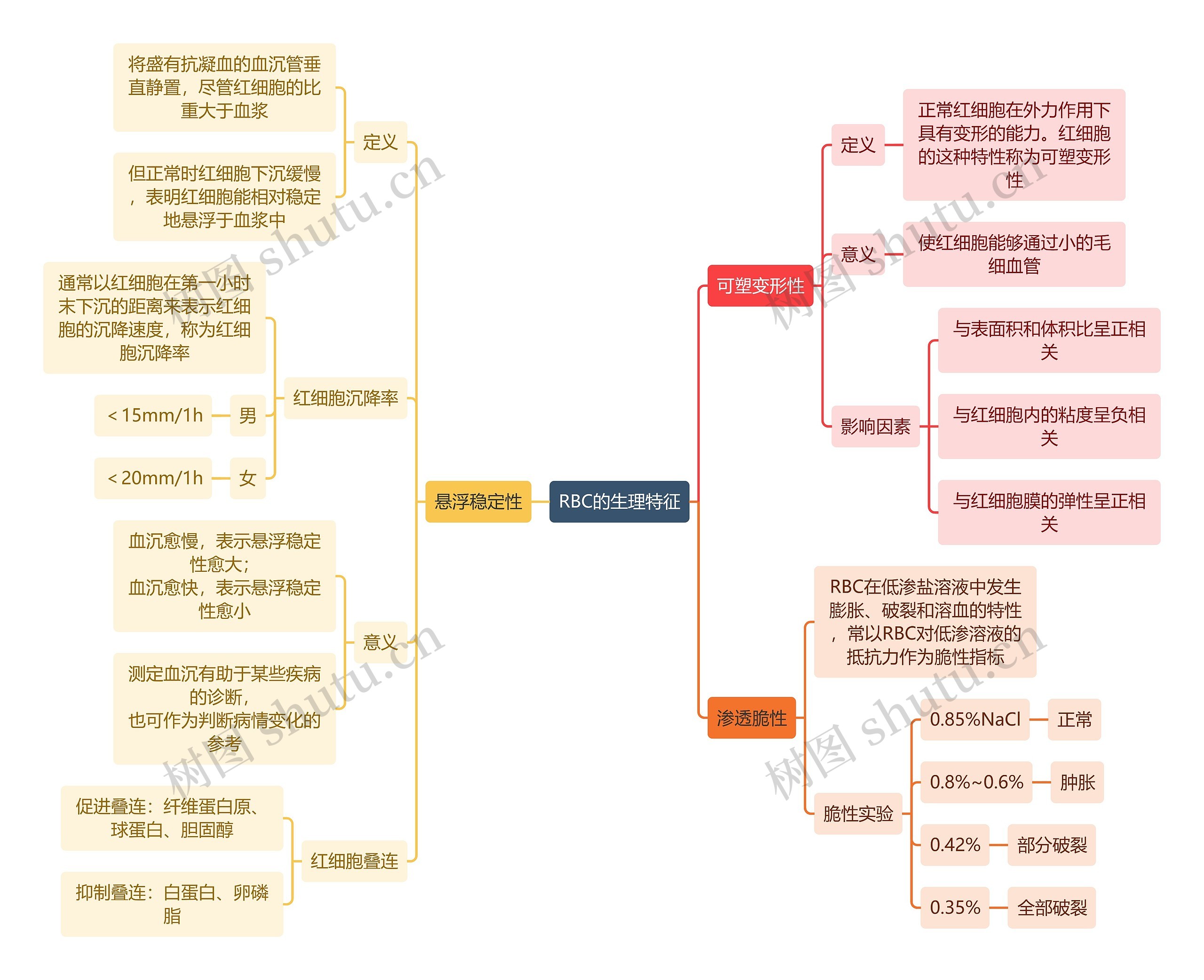 医学知识RBC的生理特征思维导图