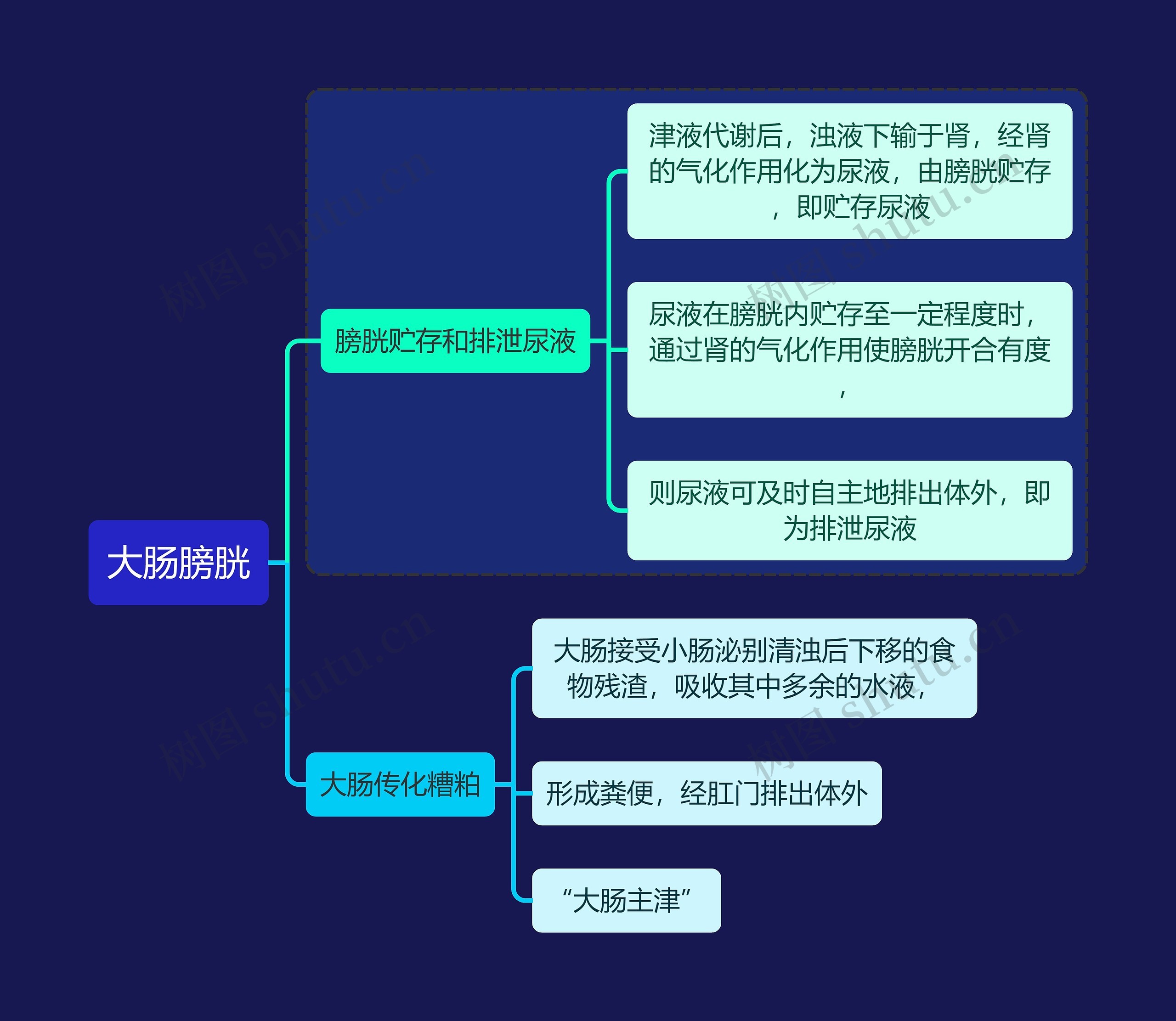 中医知识大肠膀胱思维导图