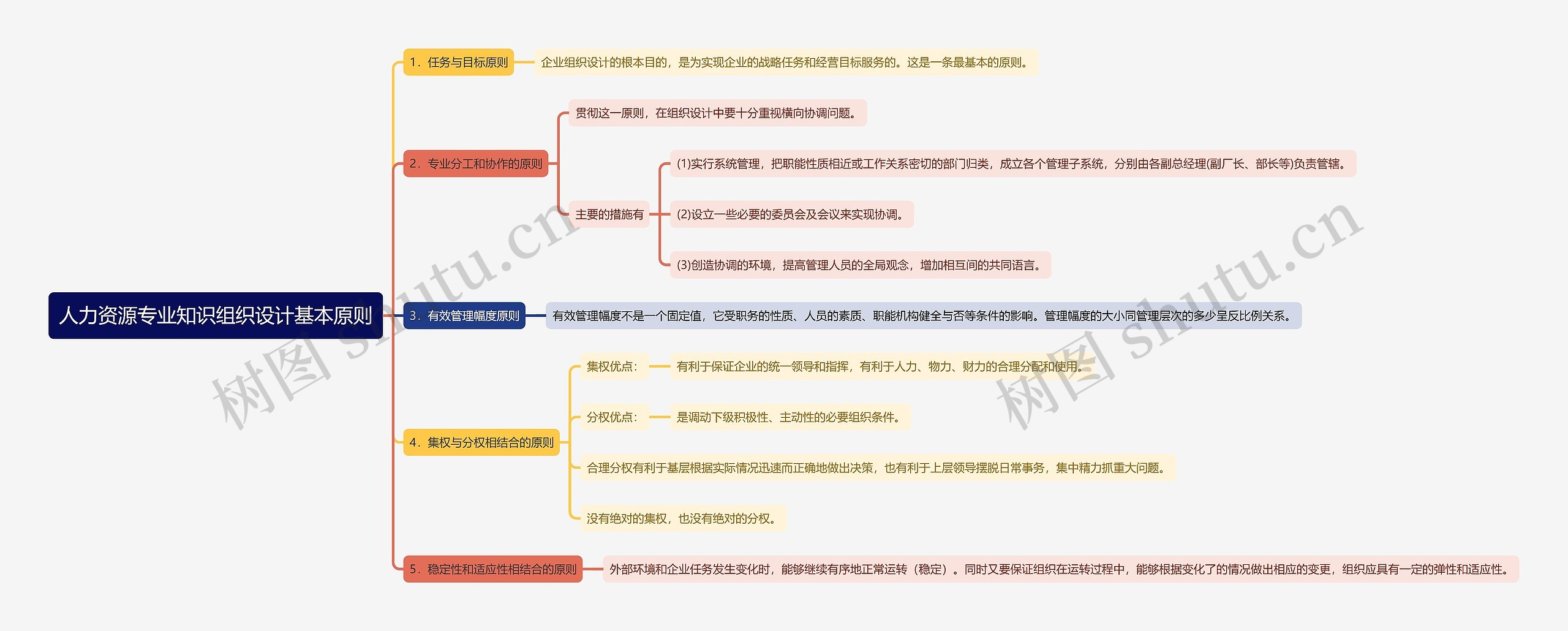 人力资源专业知识组织设计基本原则