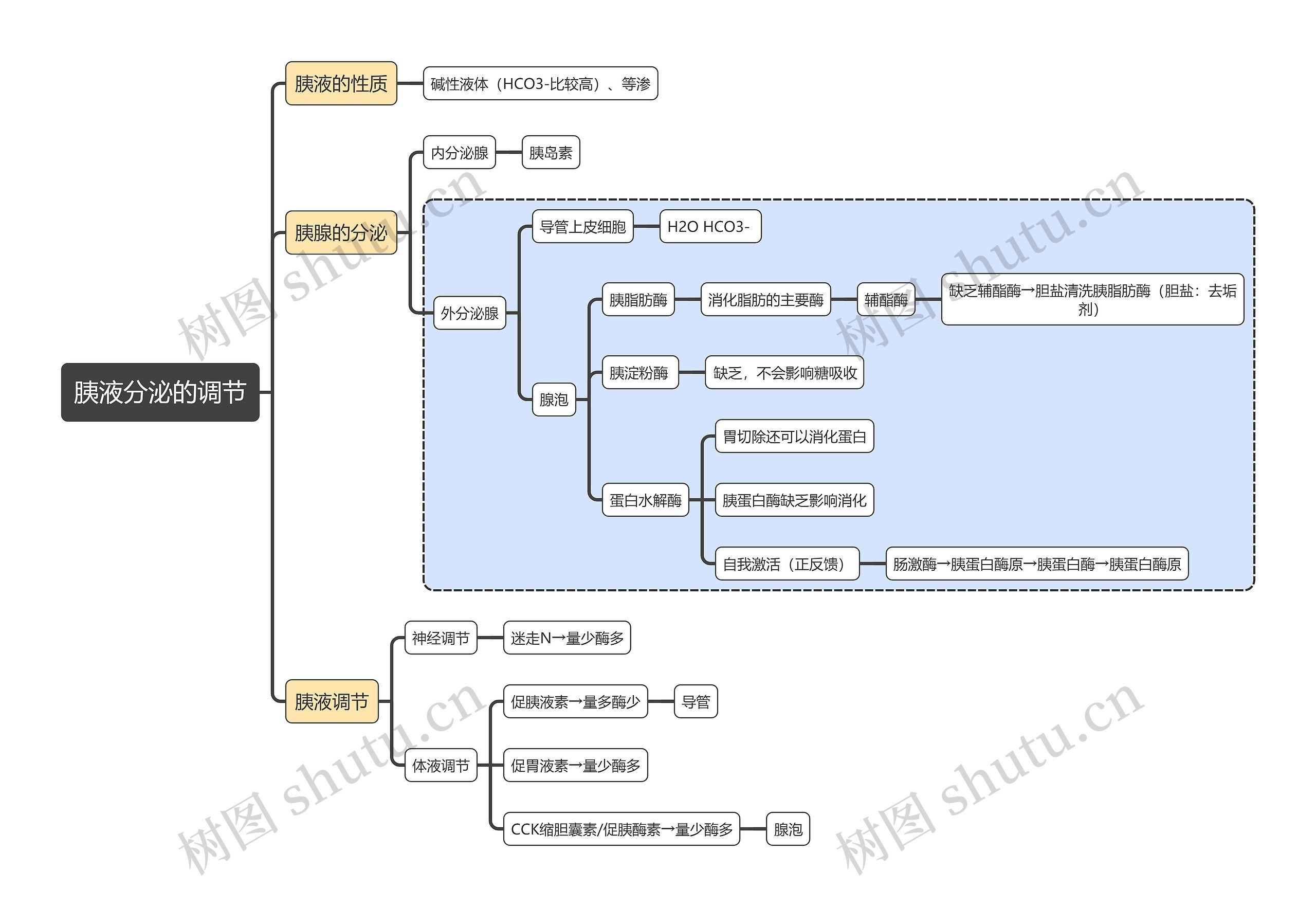 医学知识胰液分泌的调节思维导图