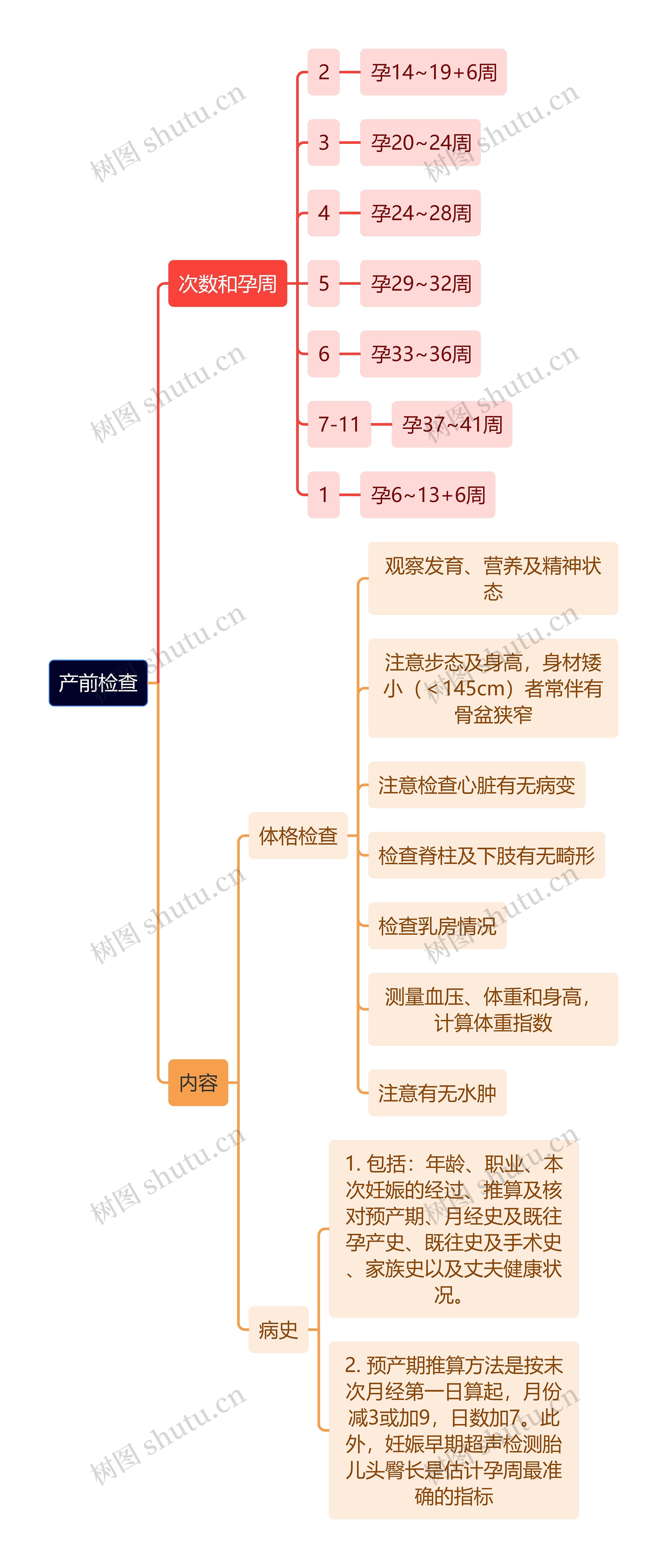 医学知识产前检查思维导图