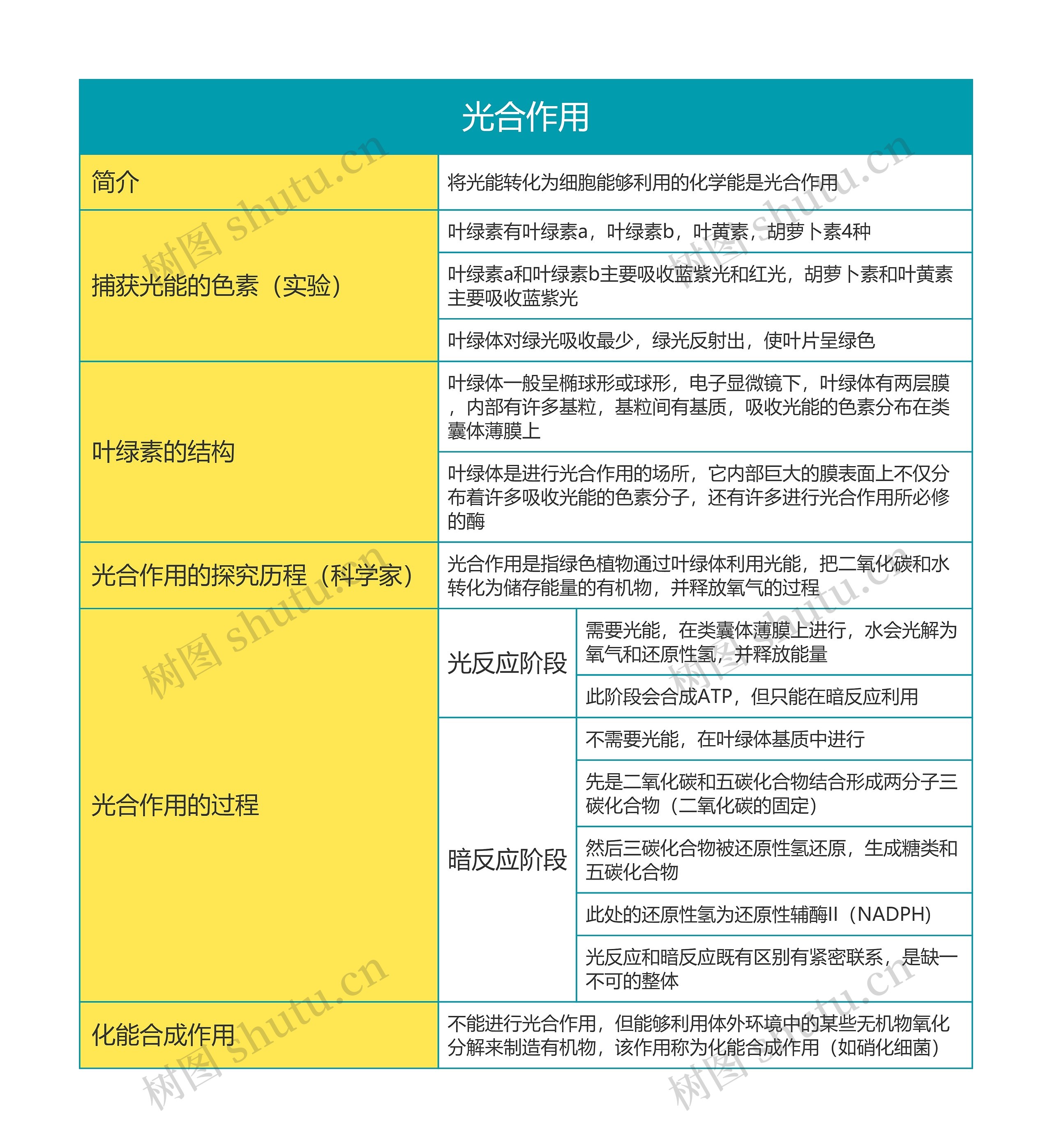 高中生物必修一第五单元光合作用思维导图