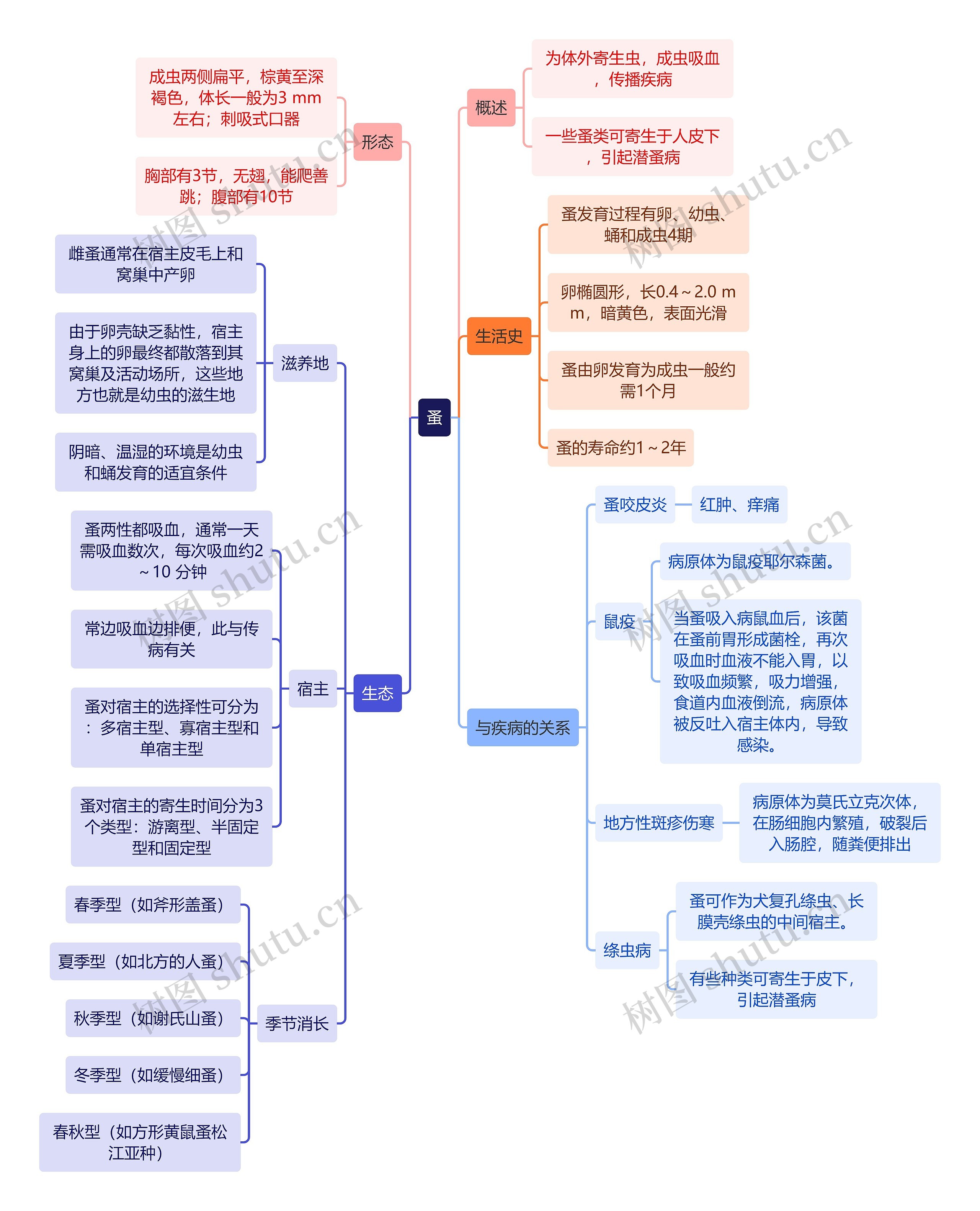 医学知识蚤思维导图