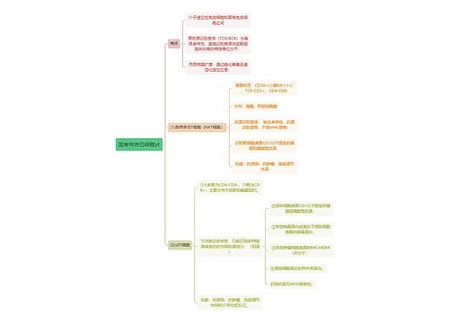 医学知识固有样淋巴细胞yt思维导图