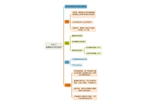 医学知识MALT黏膜相关淋巴组织思维导图