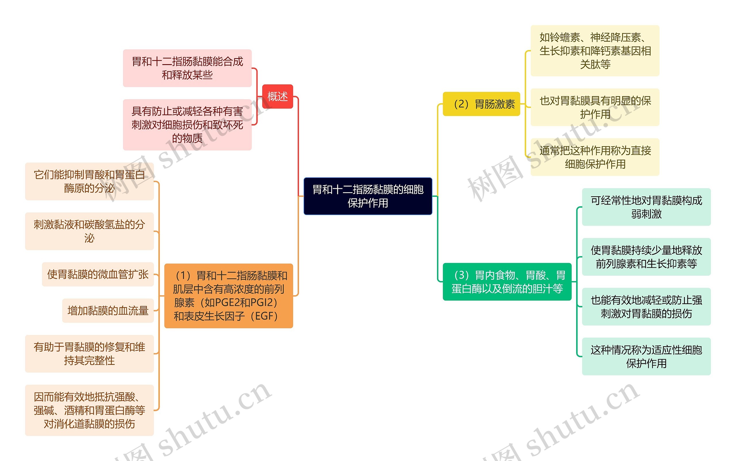 医学知识胃和十二指肠黏膜的细胞保护作用思维导图