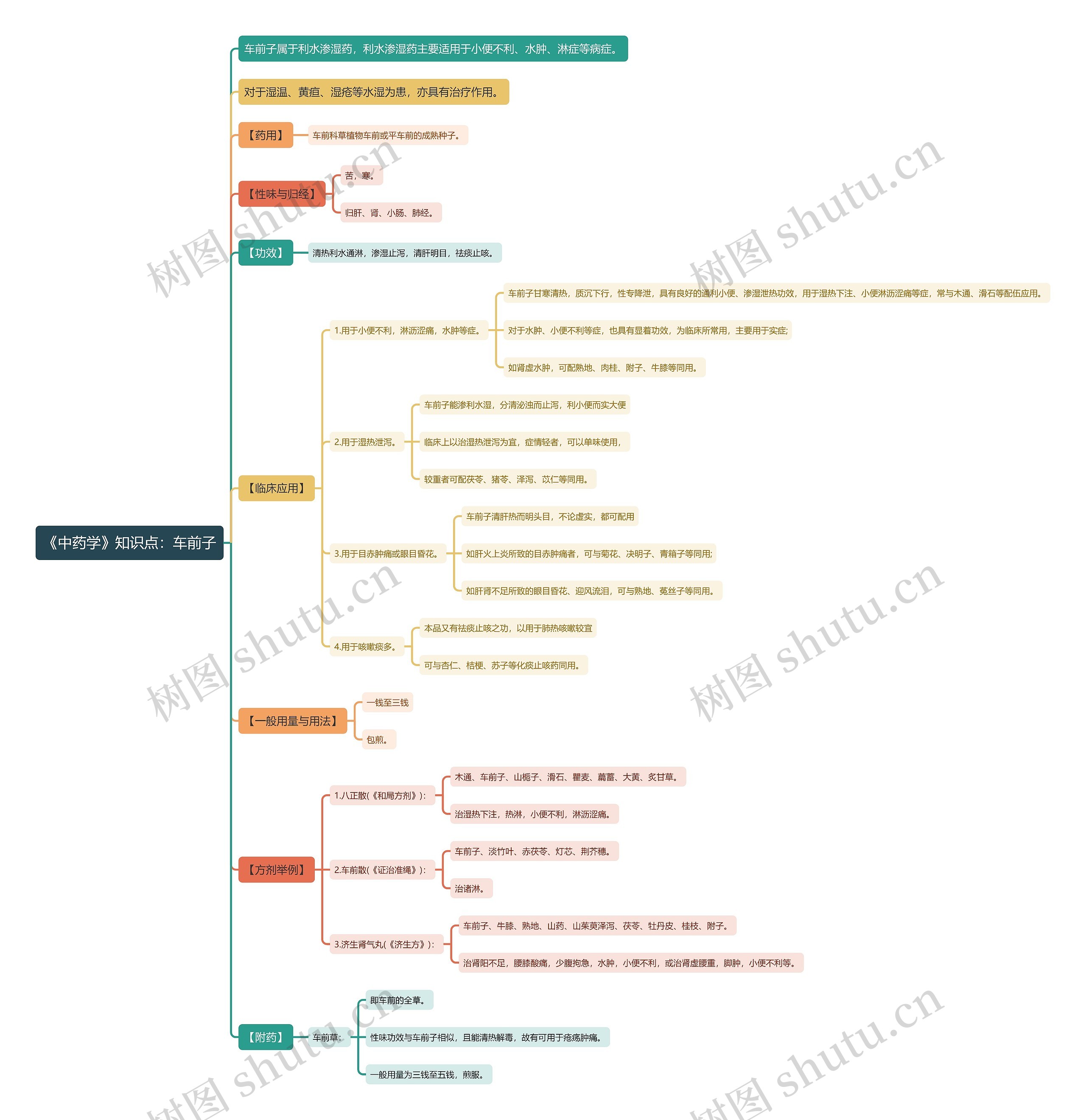 《中药学》知识点：车前子思维导图
