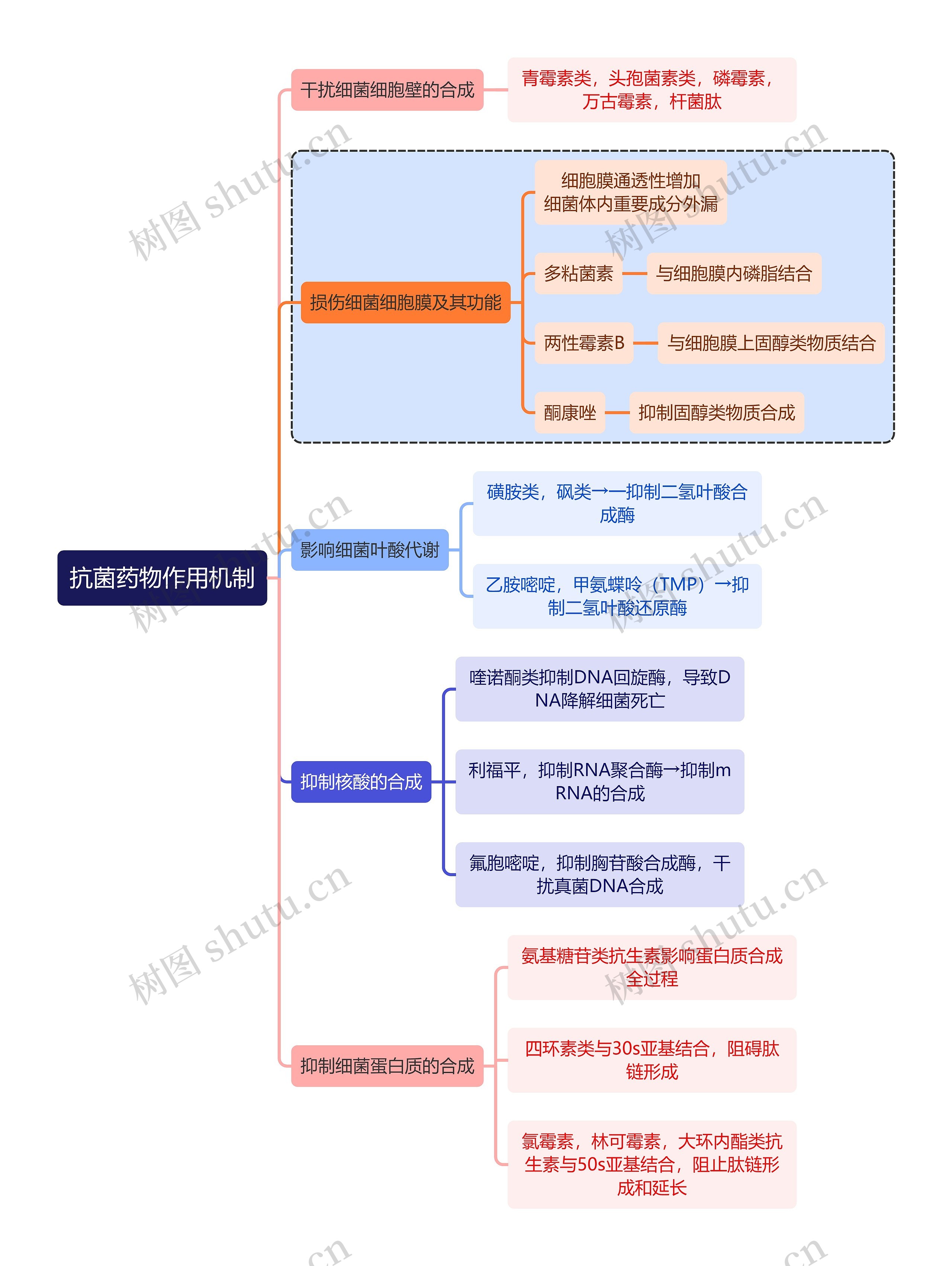 医学抗菌药物作用机制思维导图