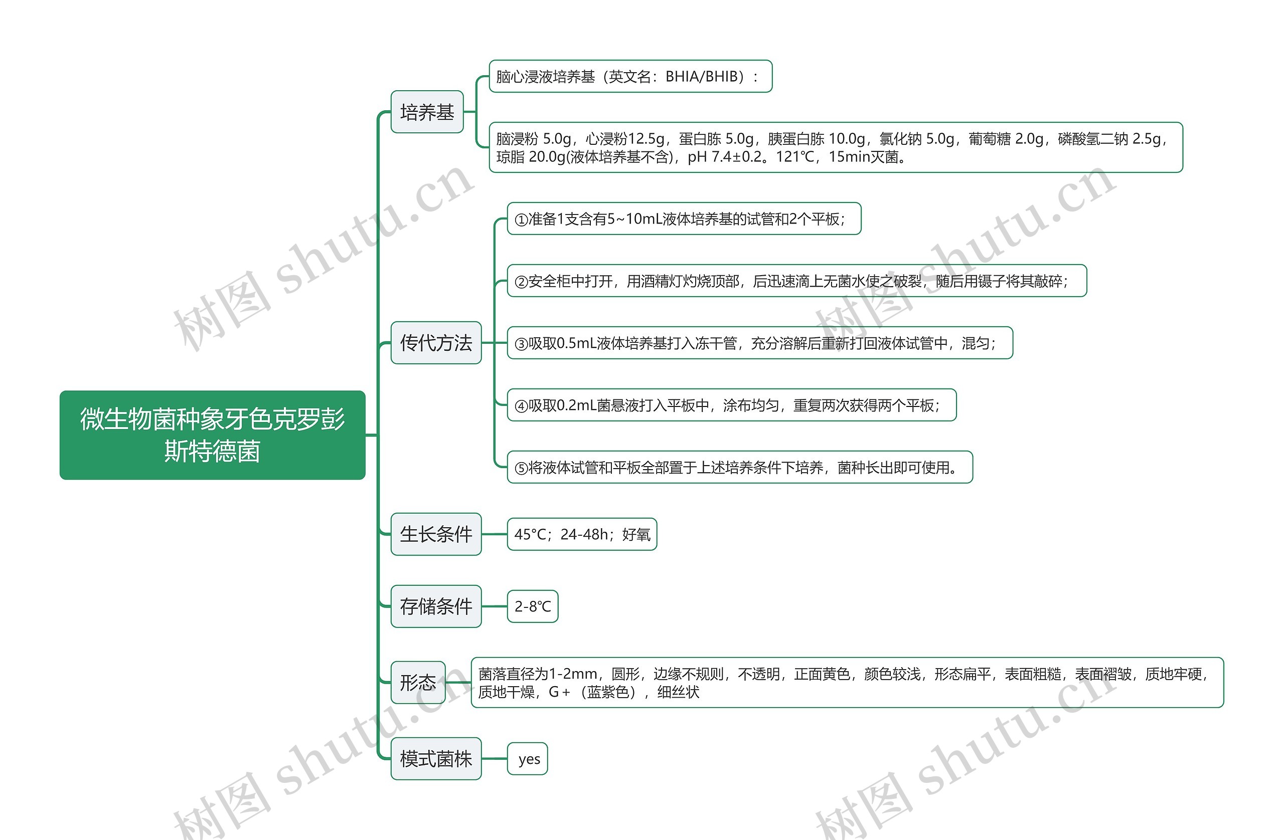 微生物菌种象牙色克罗彭斯特德菌思维导图