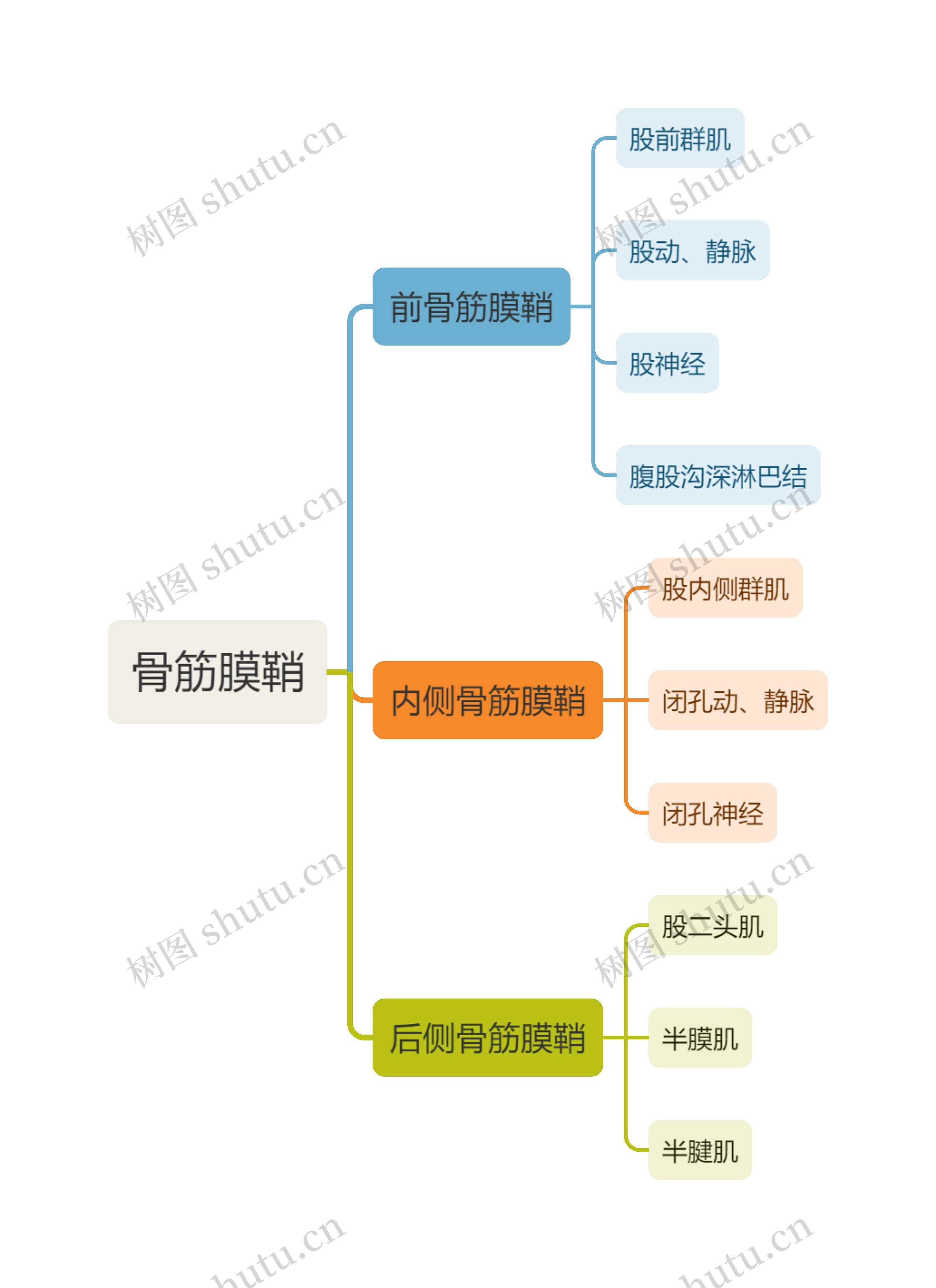 医学骨筋膜鞘思维导图