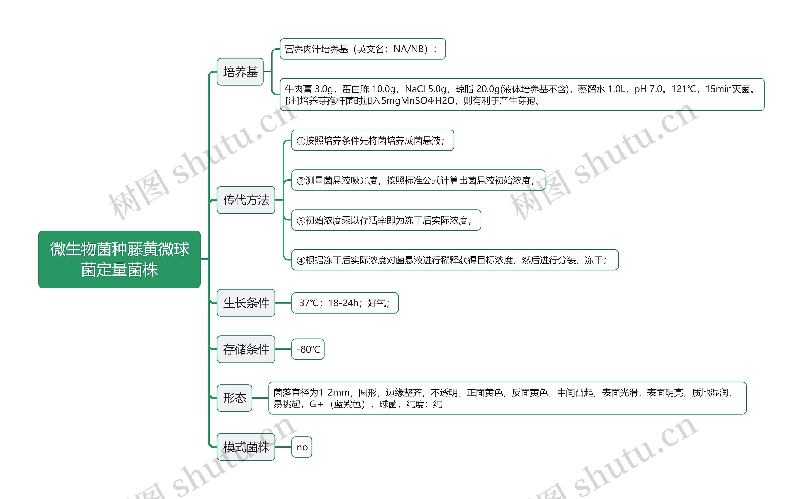 微生物菌种藤黄微球菌定量菌株思维导图