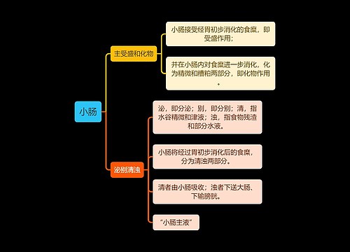 中医知识小肠思维导图