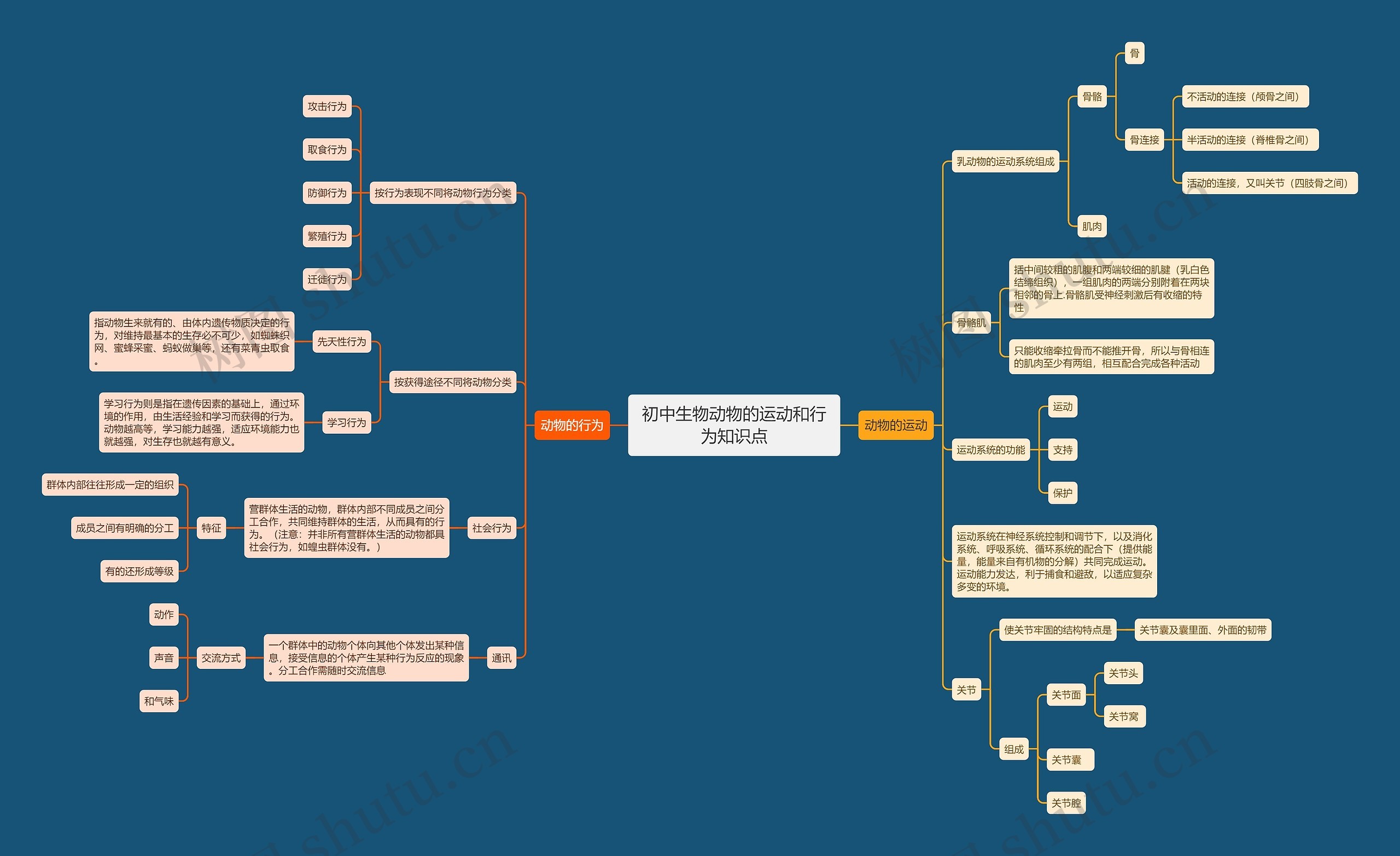 初中生物动物的运动和行为知识点思维导图