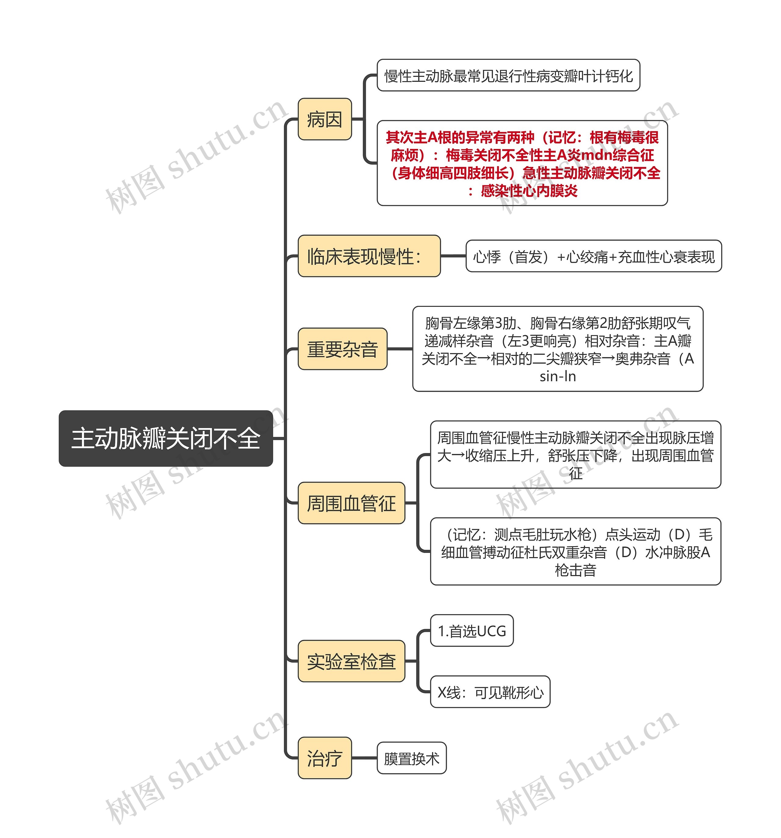 内科知识主动脉瓣关闭不全思维导图