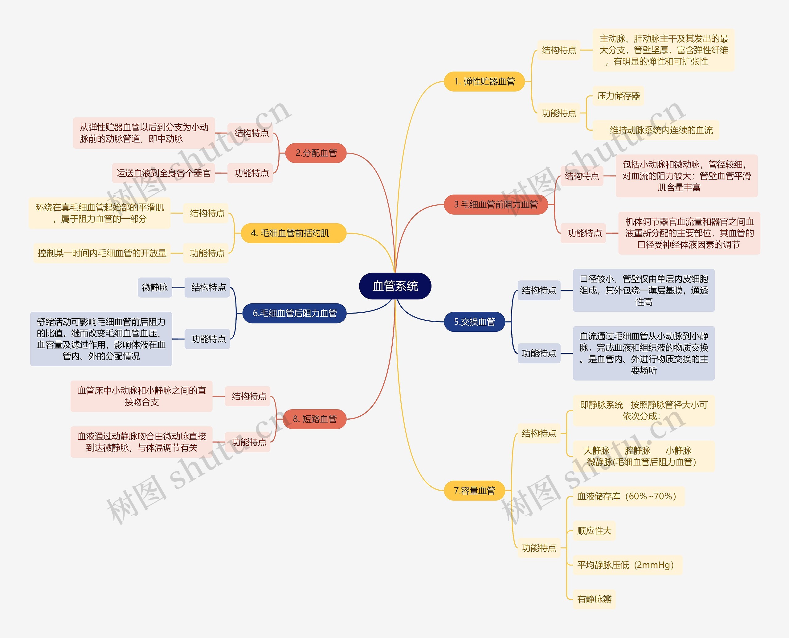 医学知识血管系统思维导图