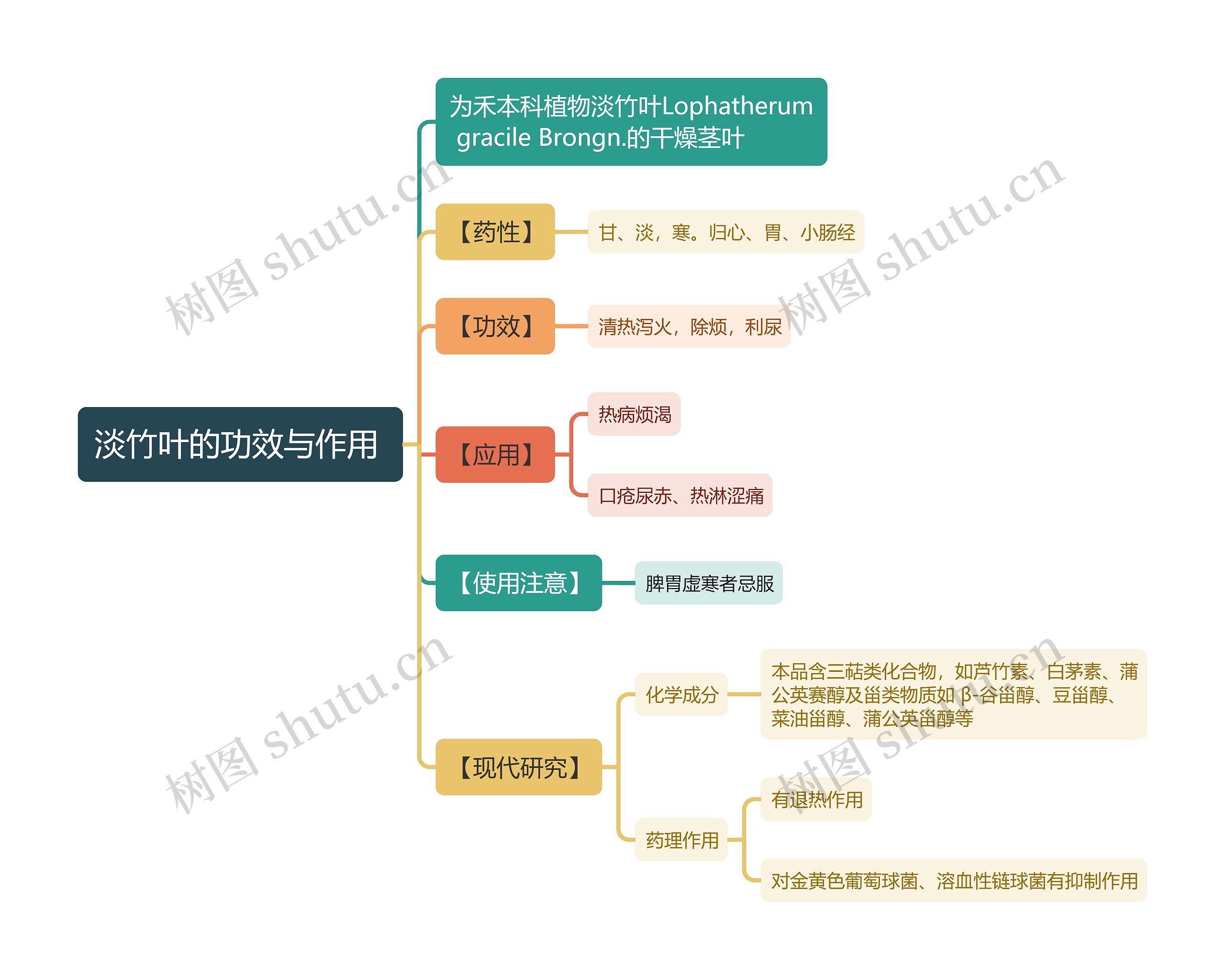 淡竹叶的功效与作用
思维导图