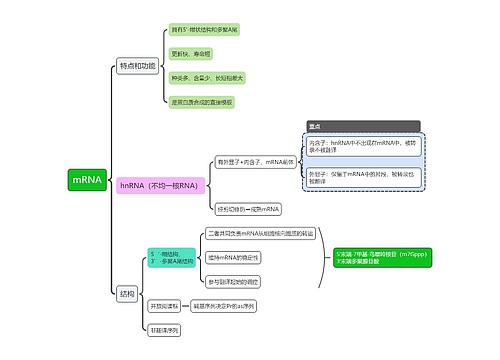 生化-mRNA思维导图